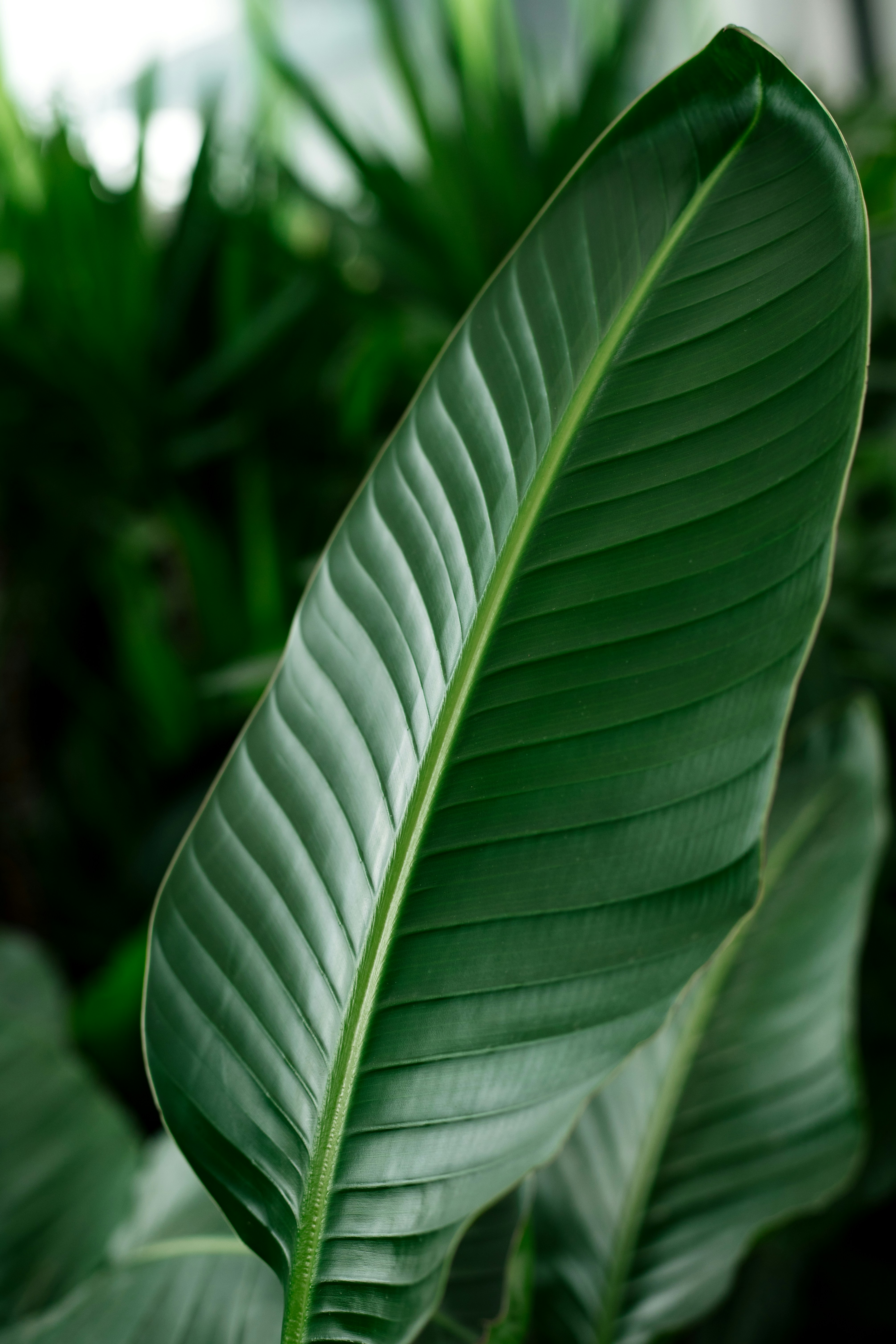 Photo by juliamatuzova