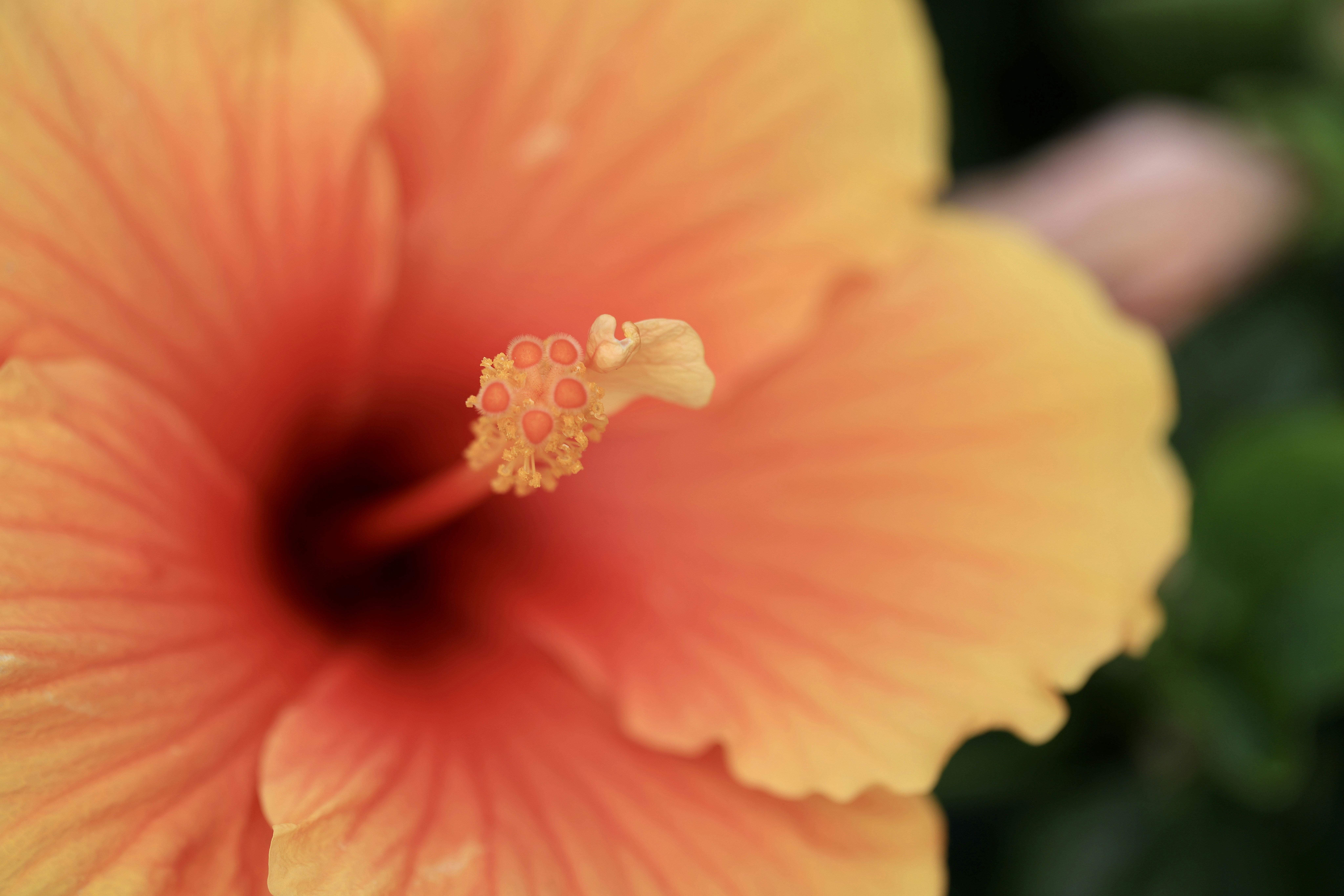 Photo by dickenslin76