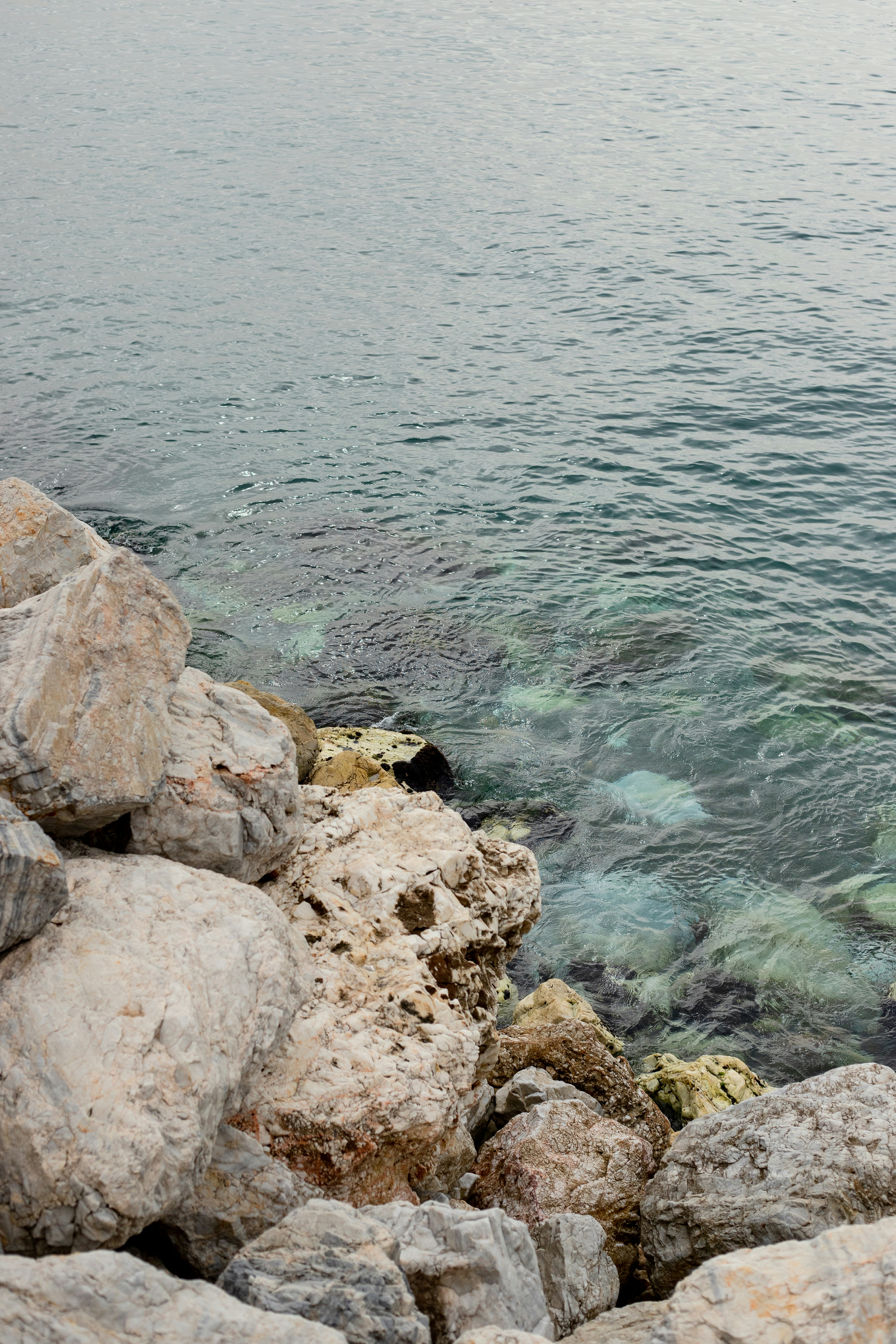 Photo by juliamatuzova