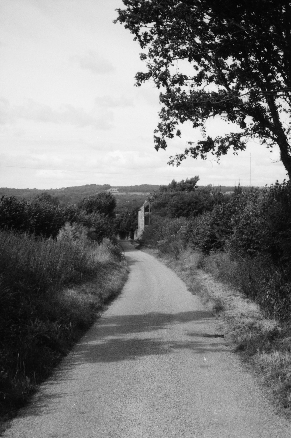 a dirt road with trees on either side of it