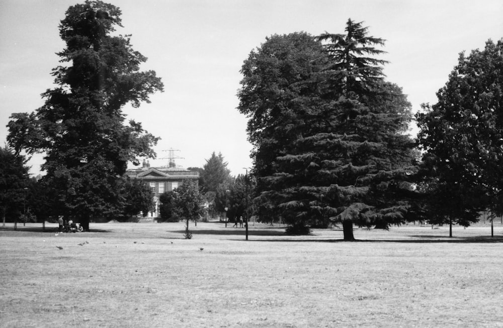 a large field with trees and a building in the background