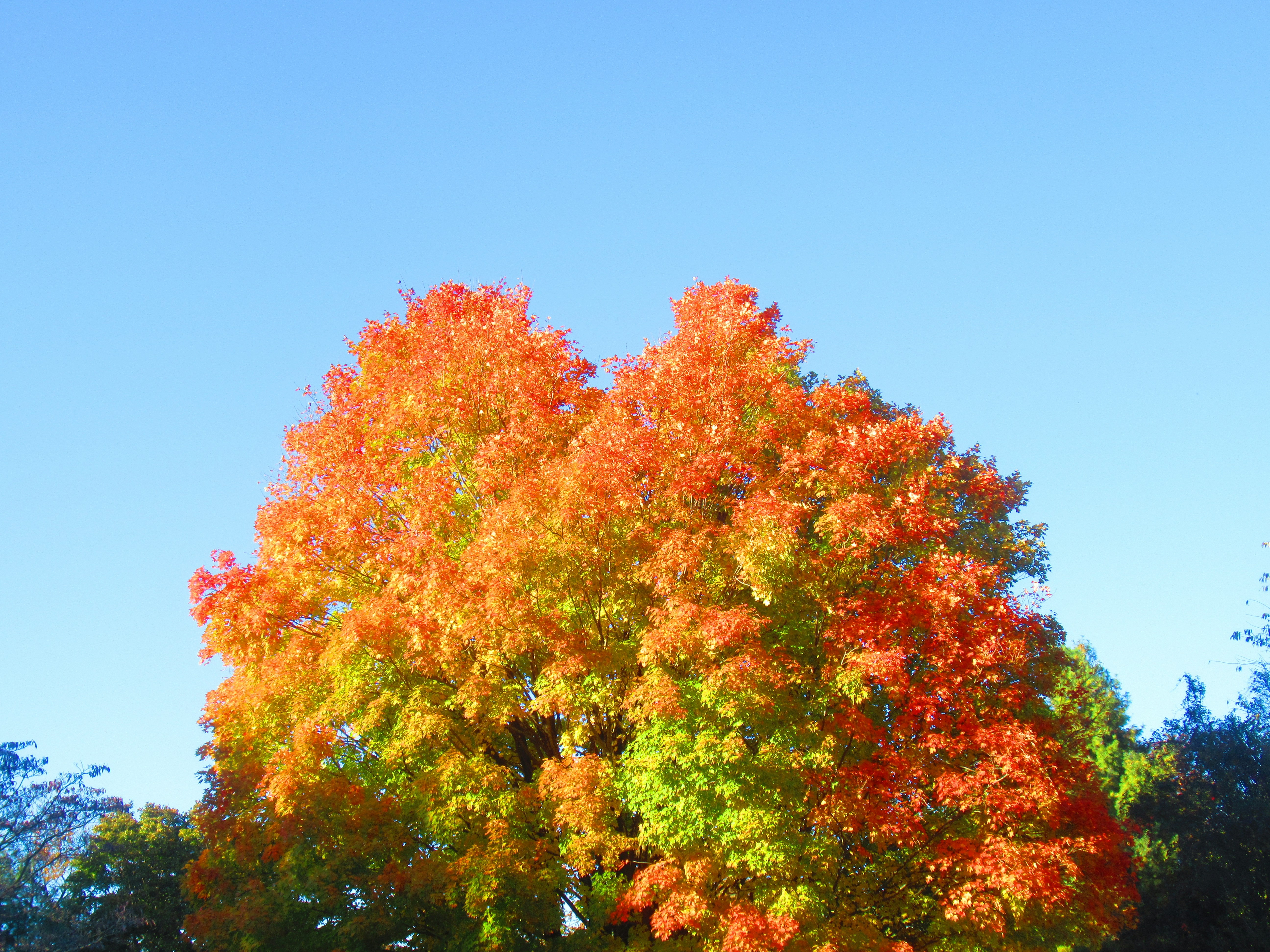 Photo by standerimages