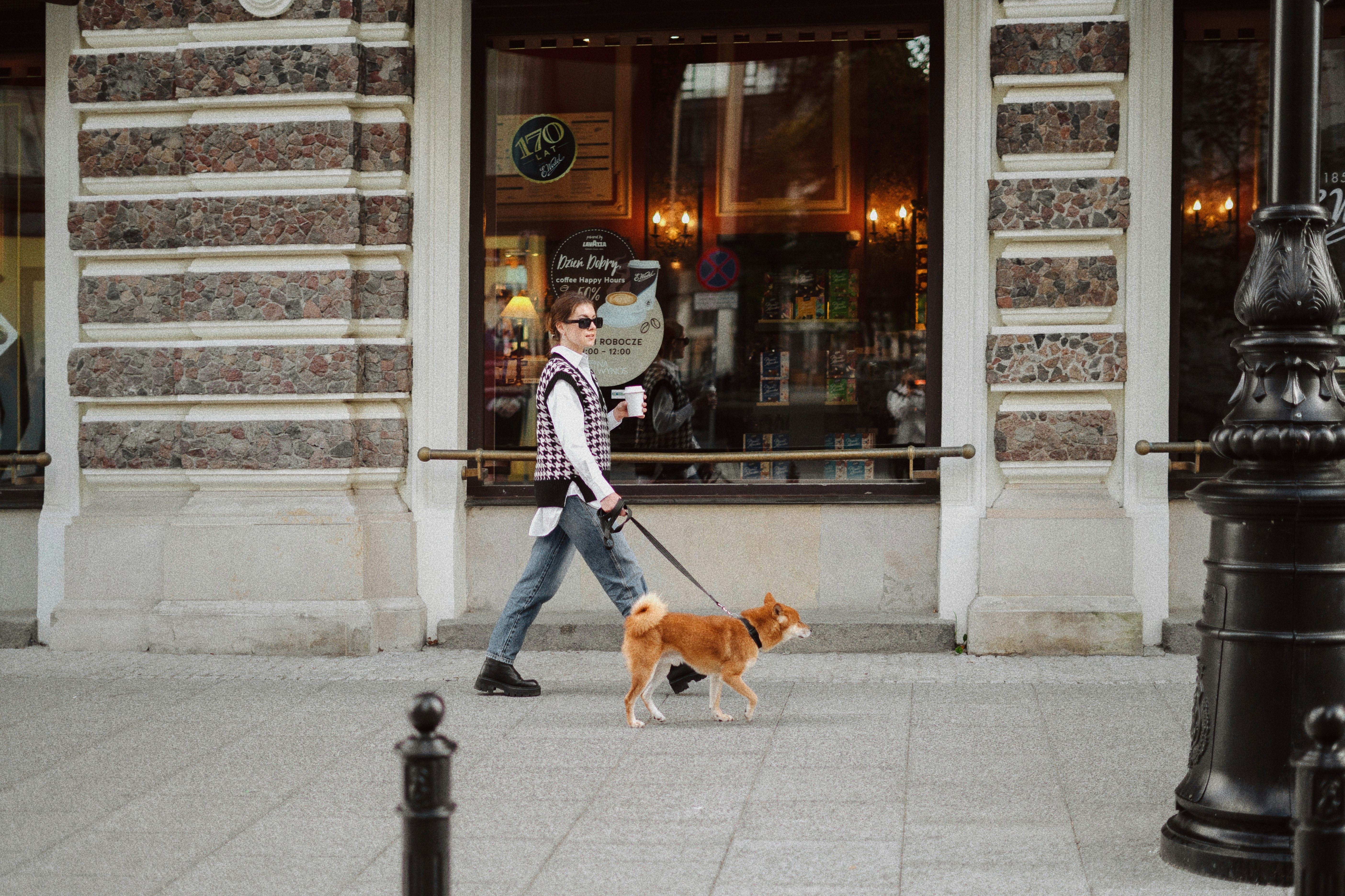 a person walking a dog on a leash