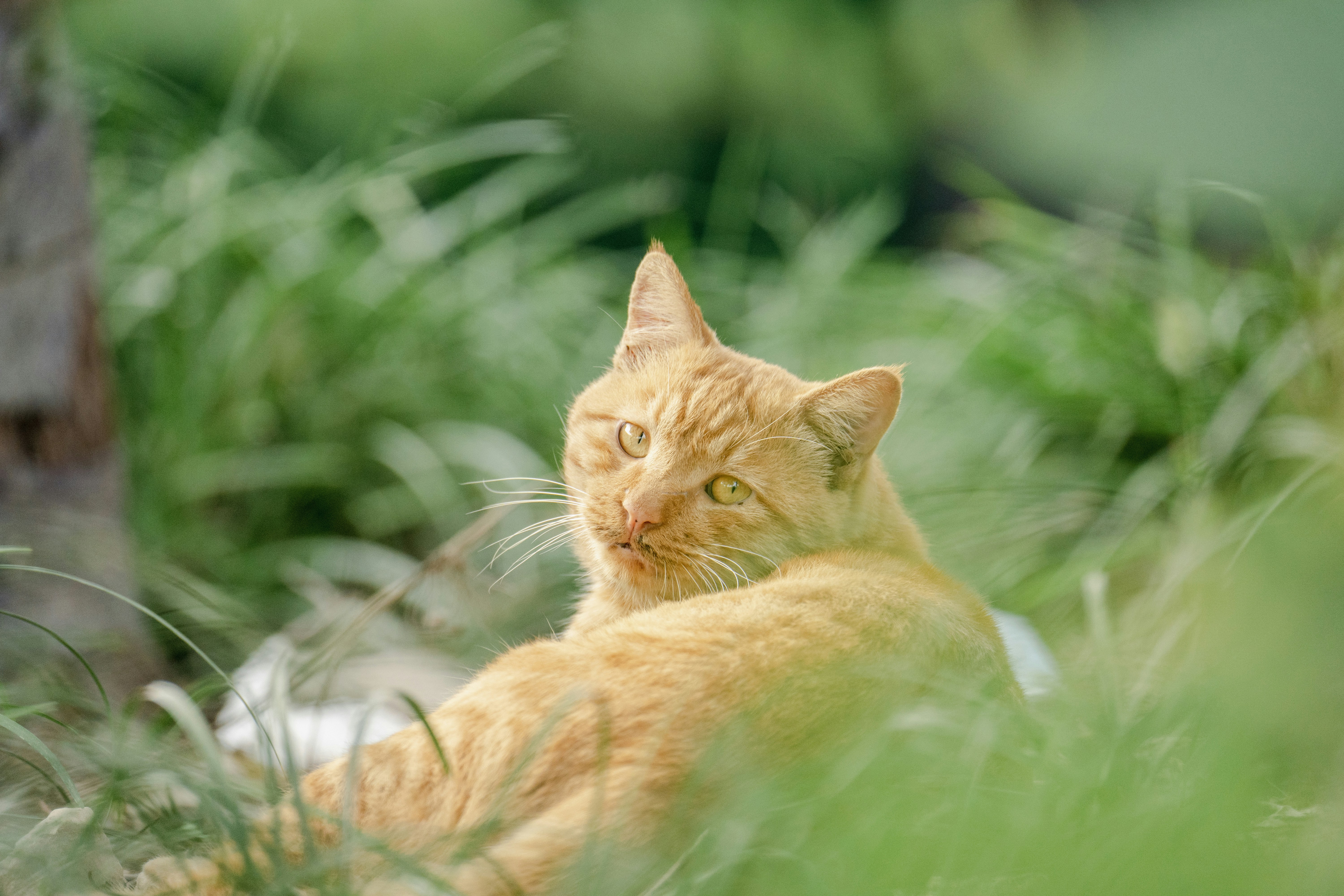 Photo by yooho962464