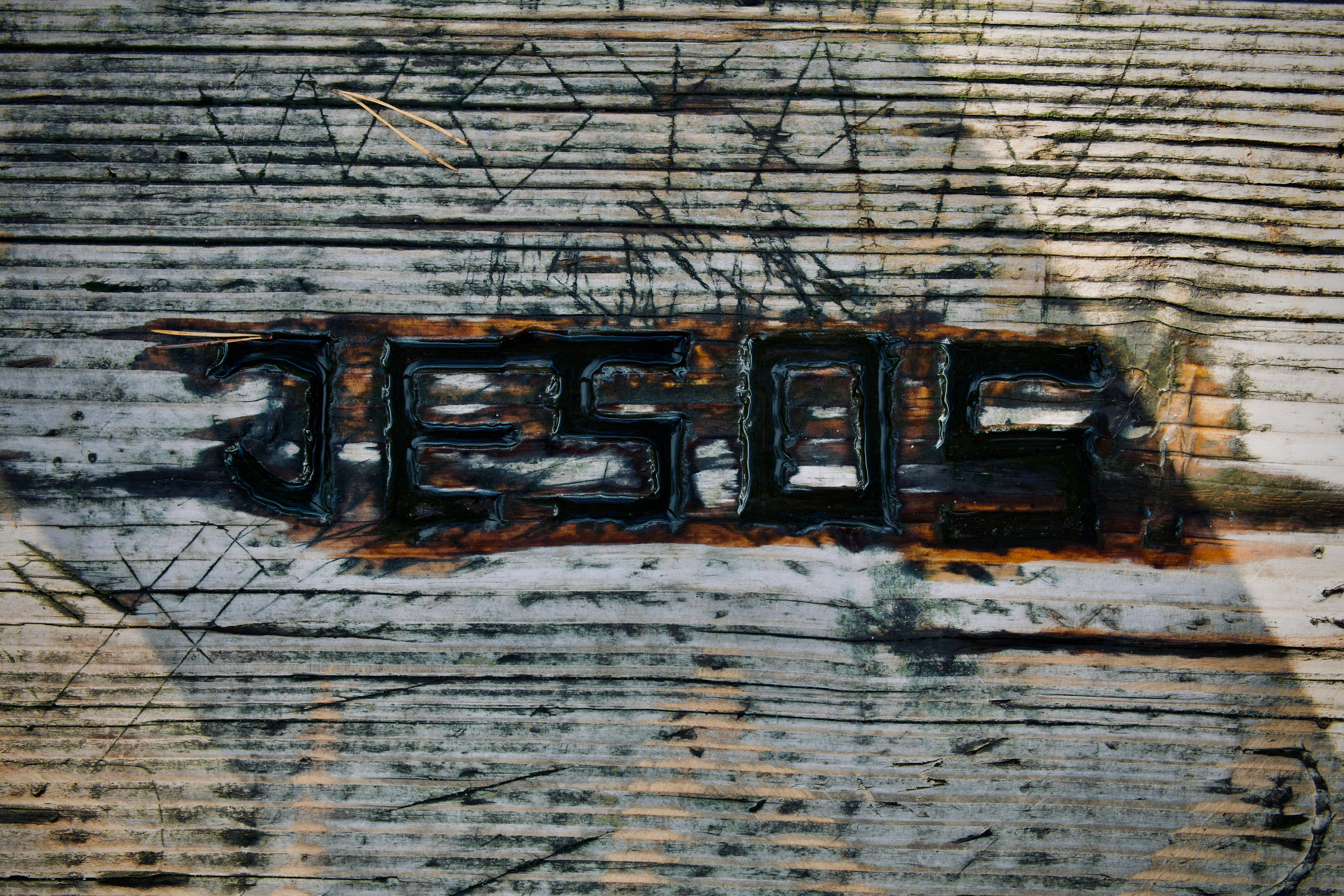 Winter dining experience