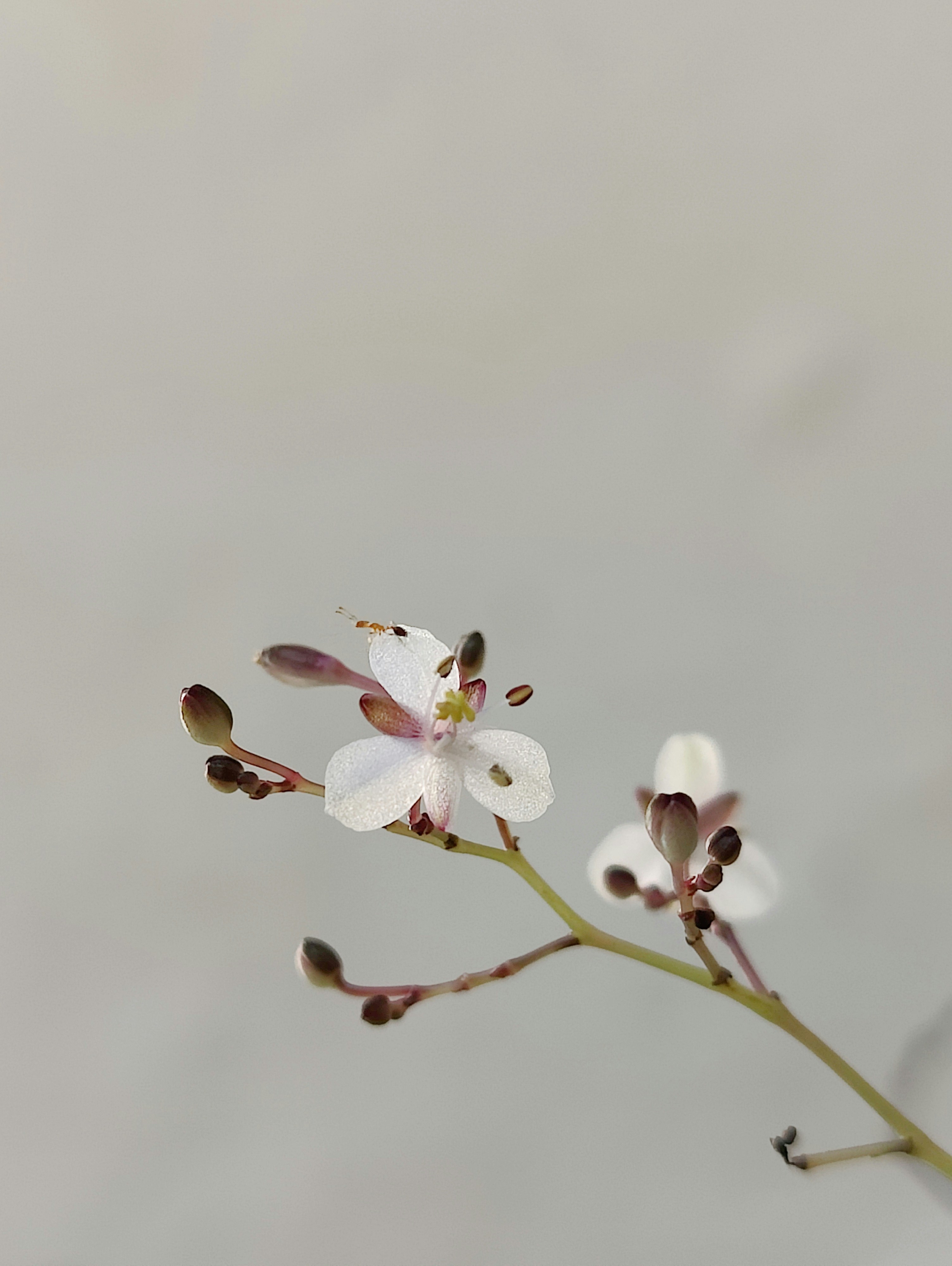 Photo by prince_jake