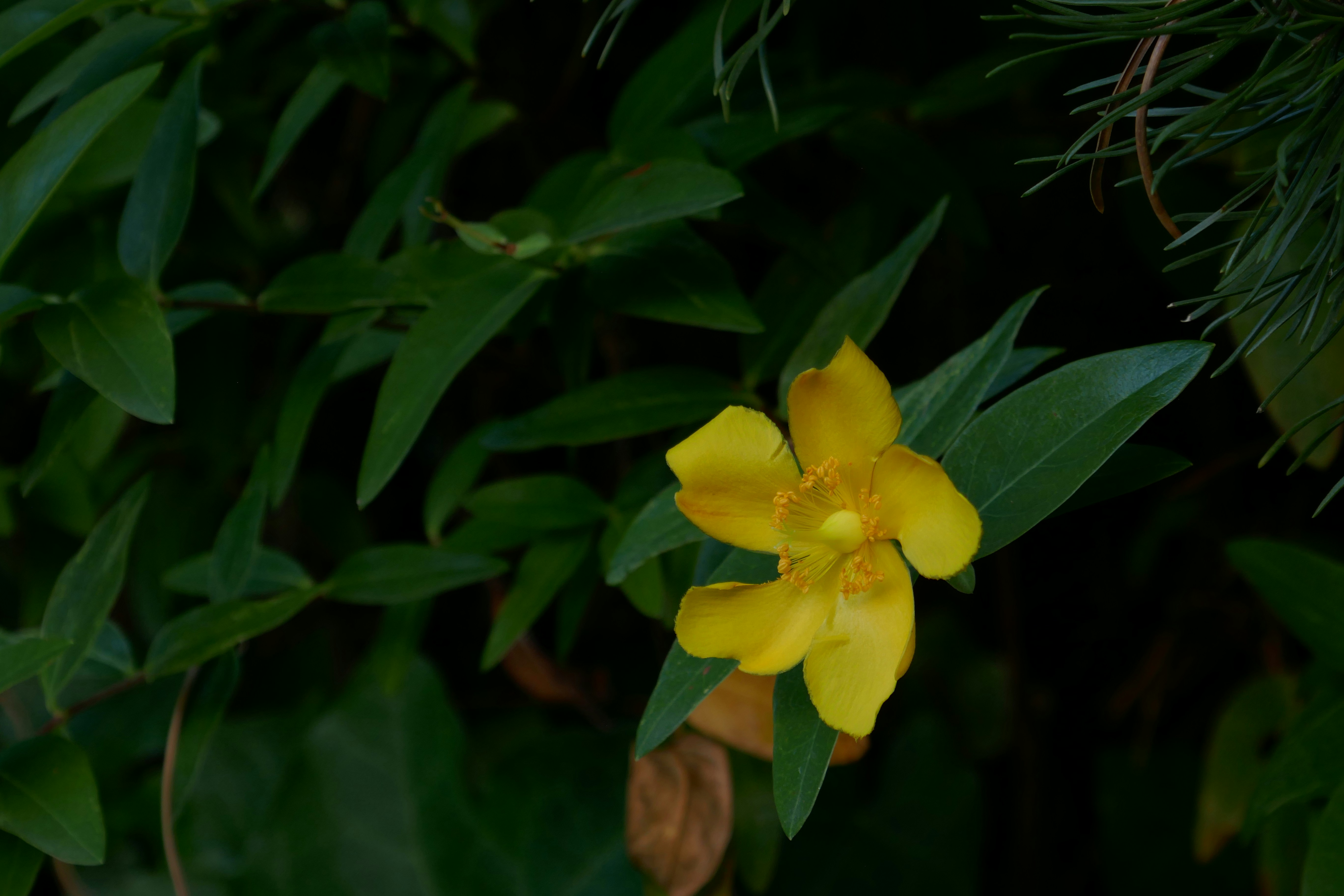 Photo by monikamanenti