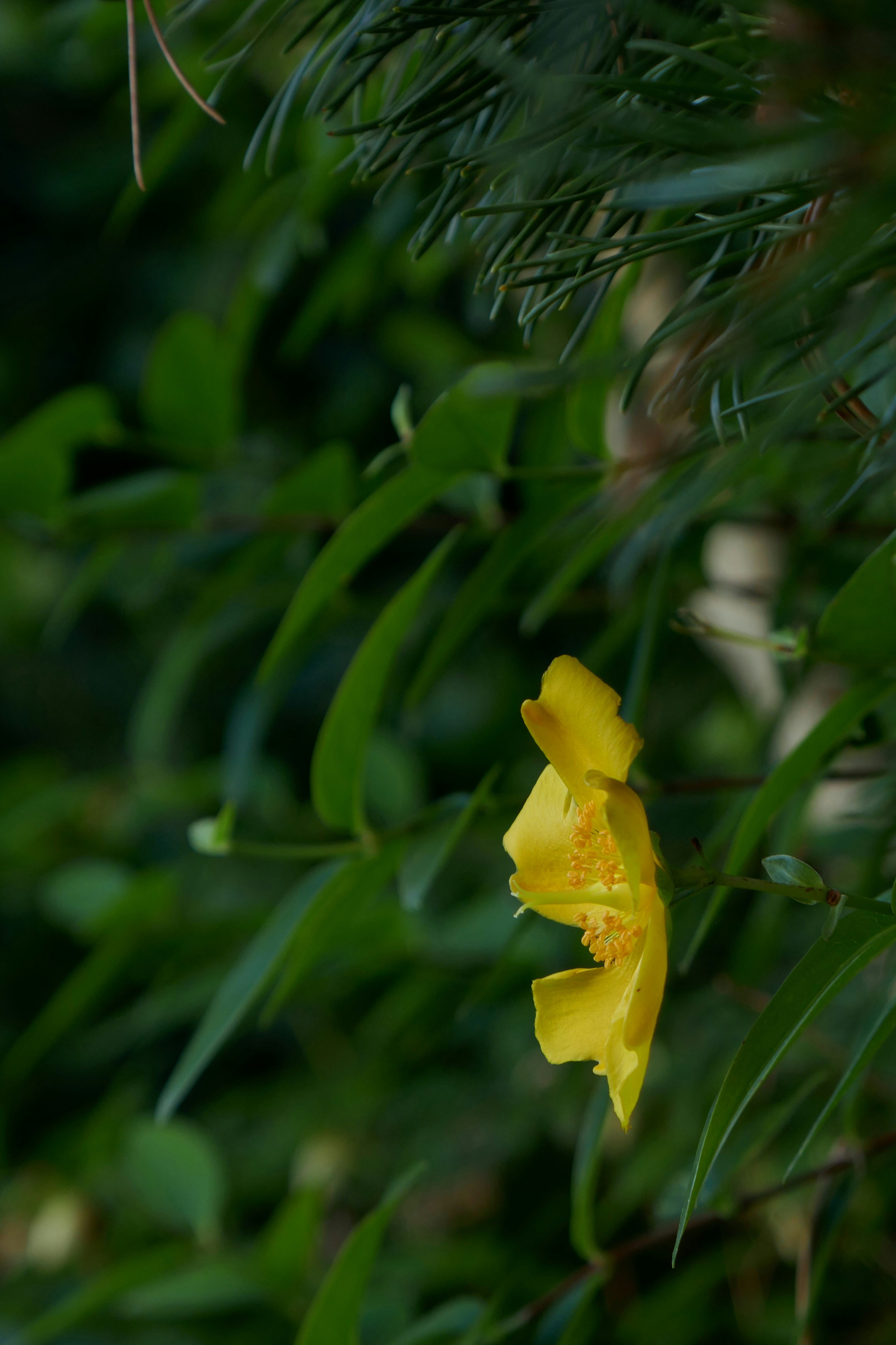 Photo by monikamanenti