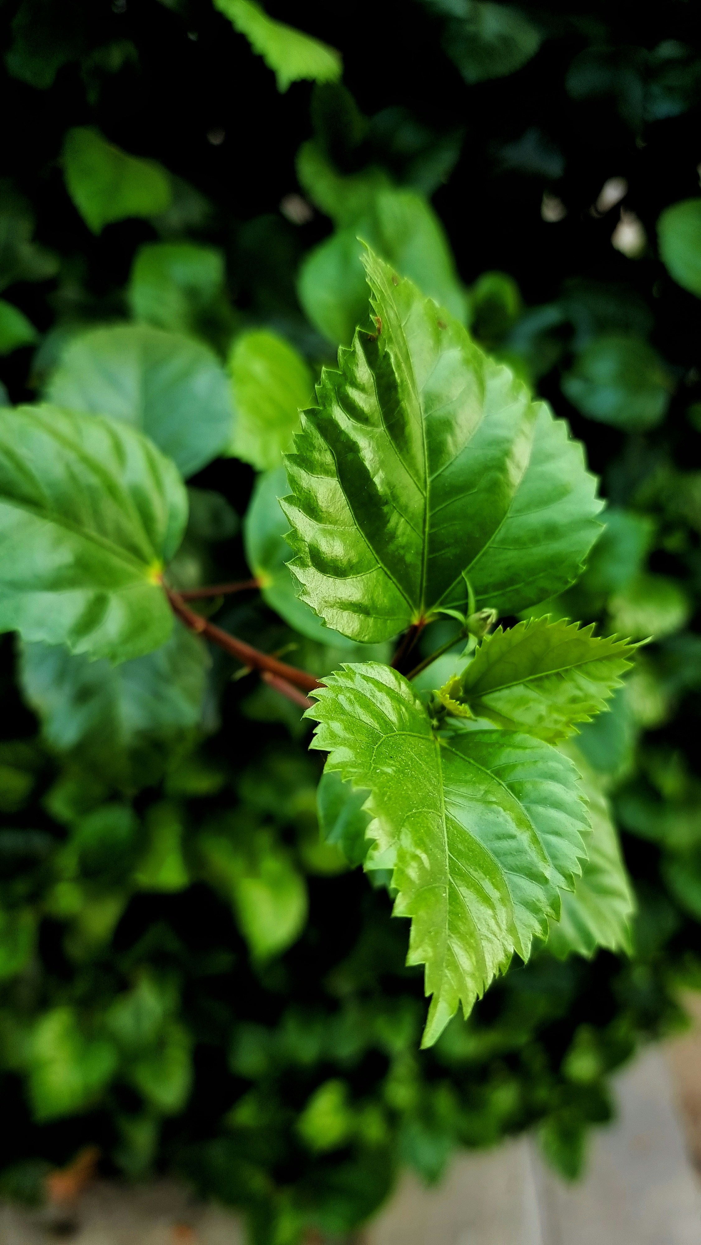 Photo by gurnoor__sandhu__