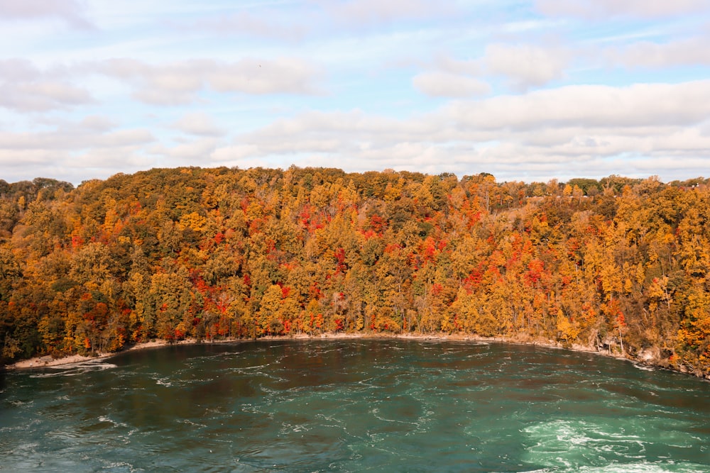 a body of water with trees around it