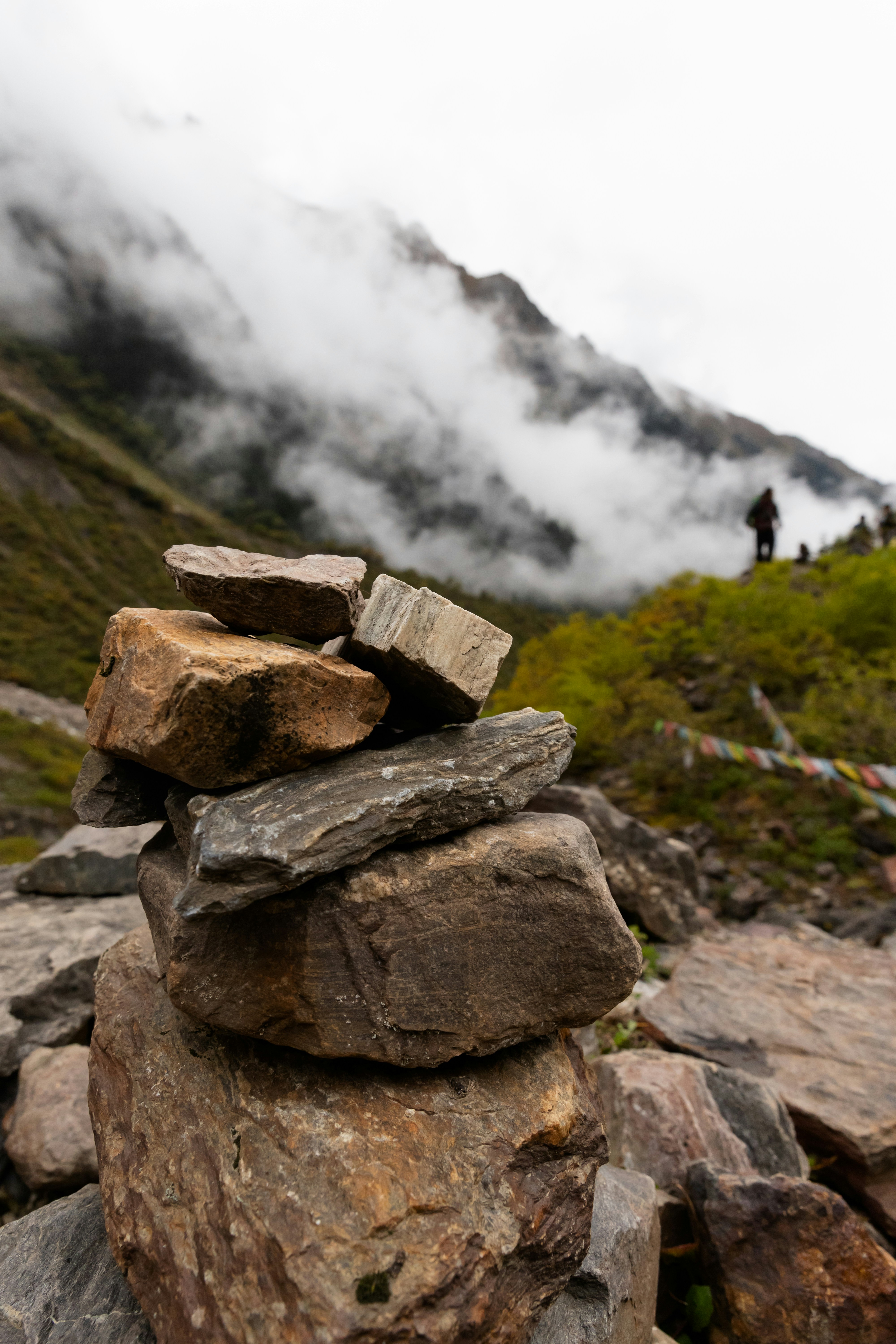 Photo by jl_darren25