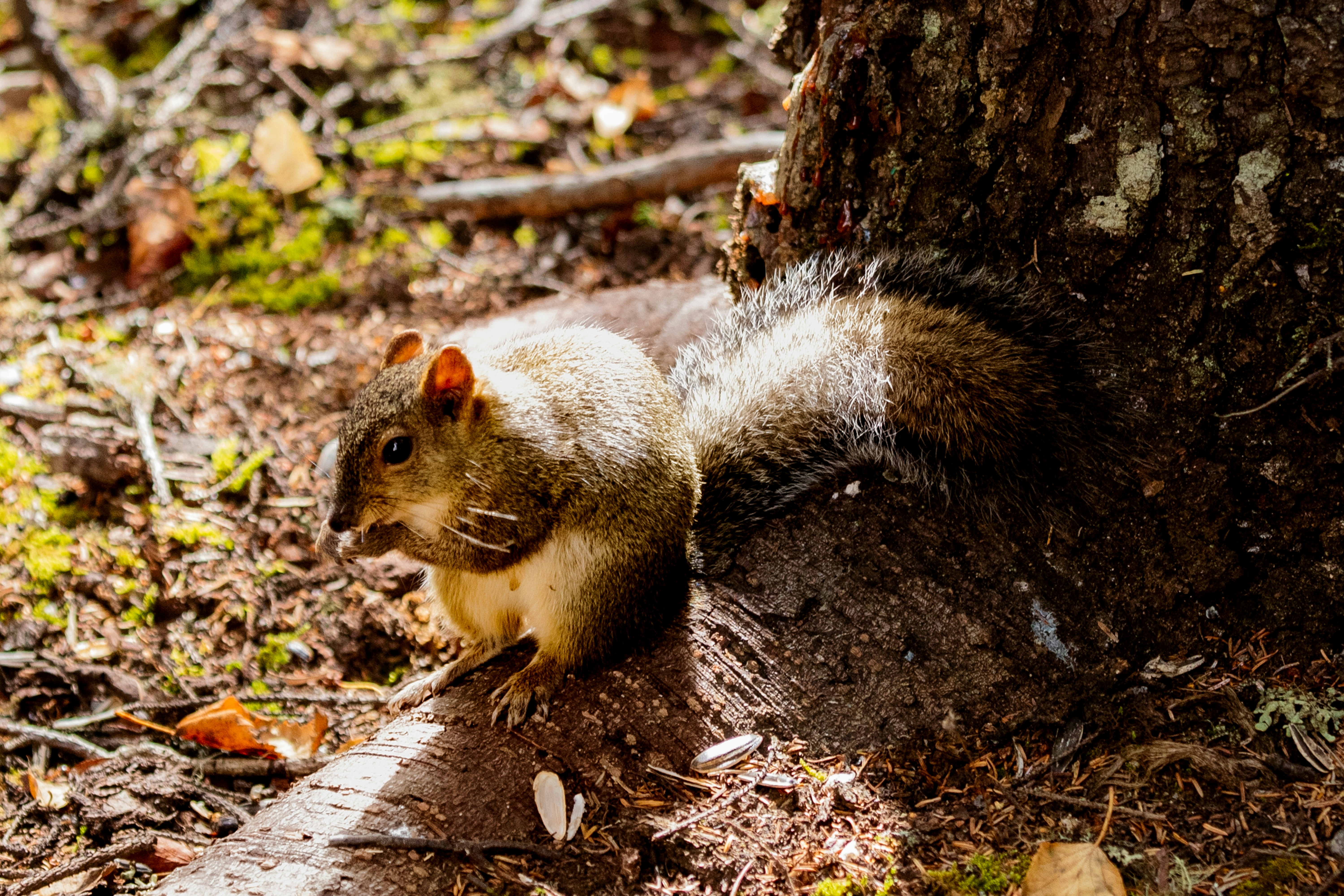 Photo by jl_darren25