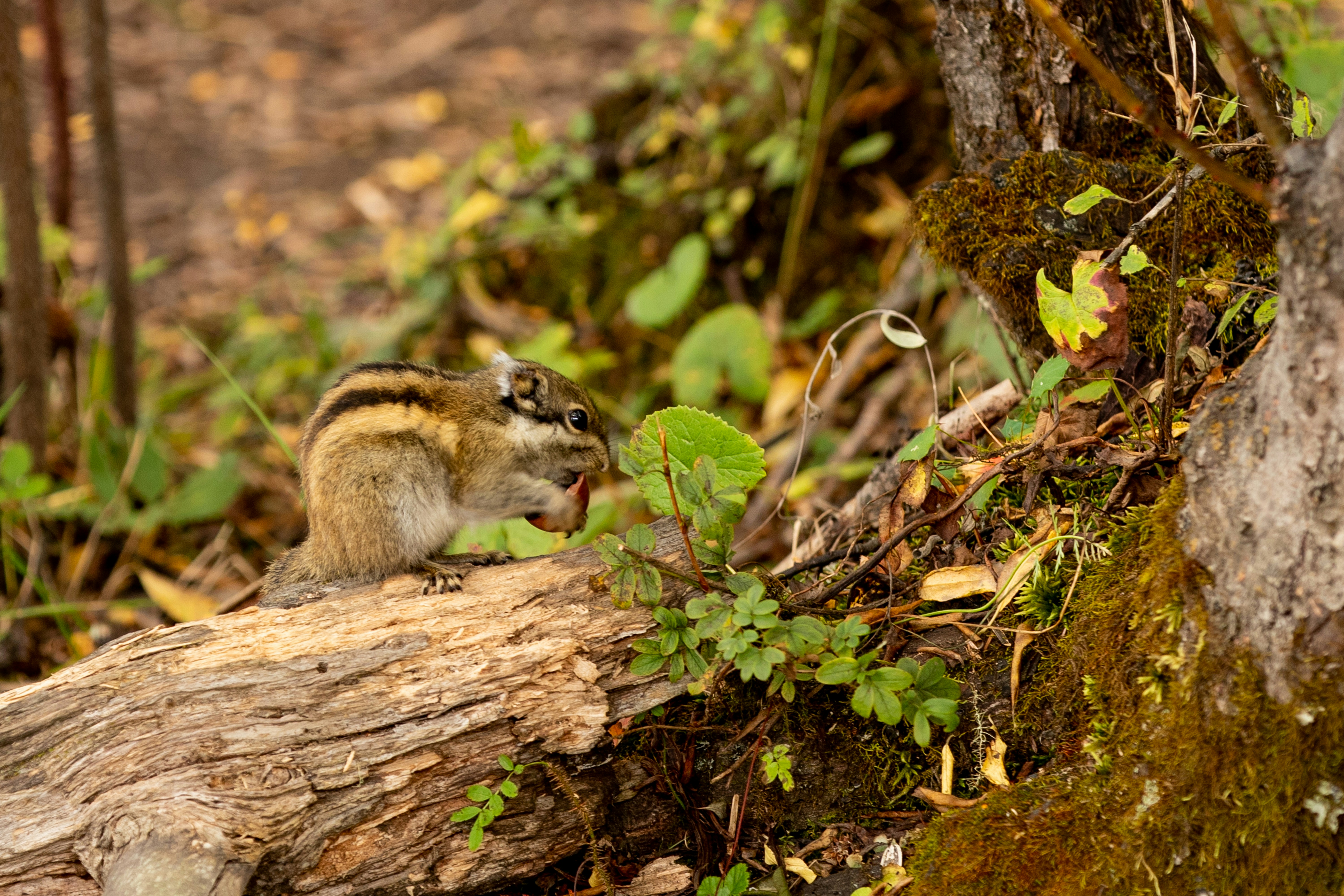 Photo by jl_darren25