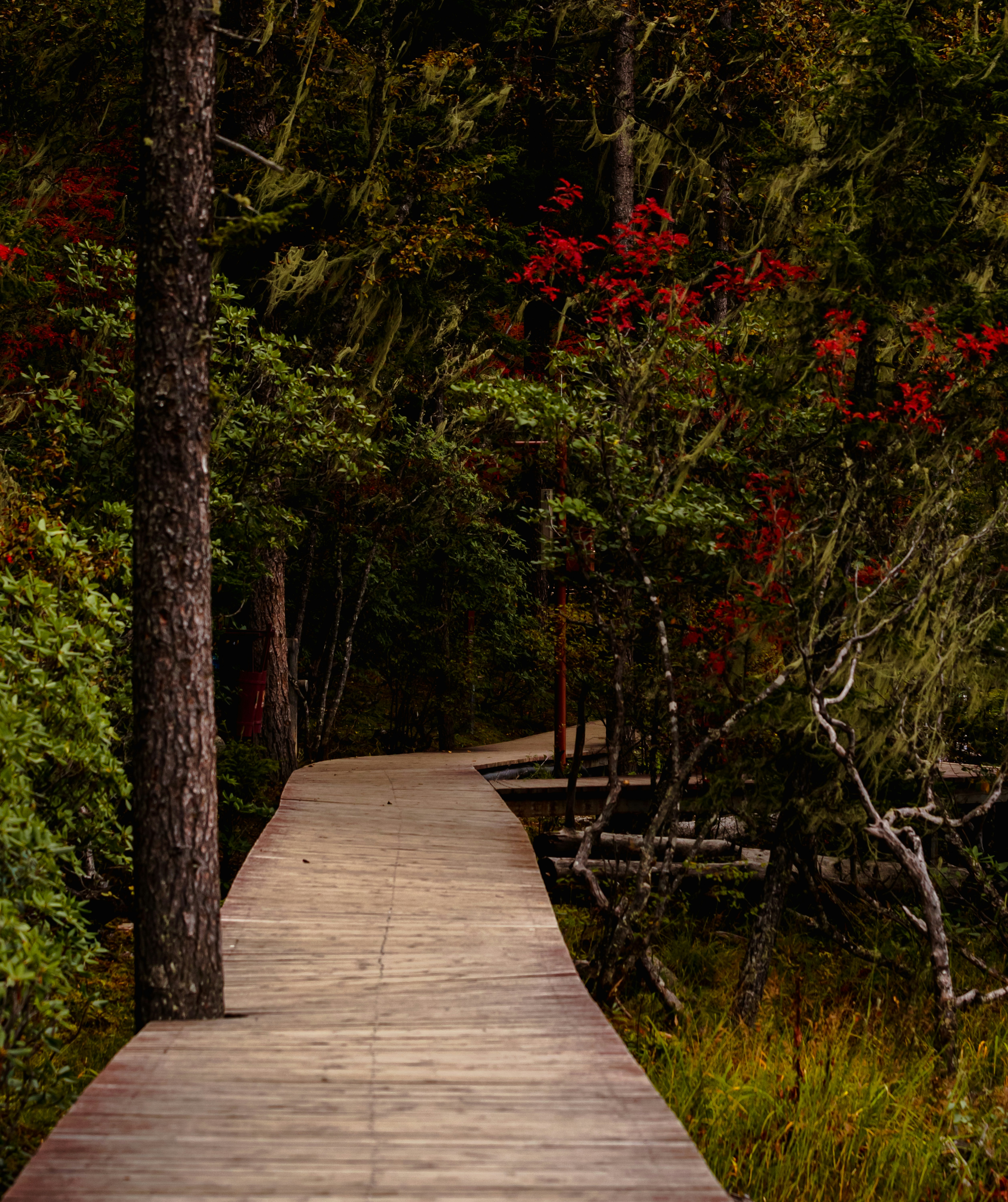 Photo by jl_darren25