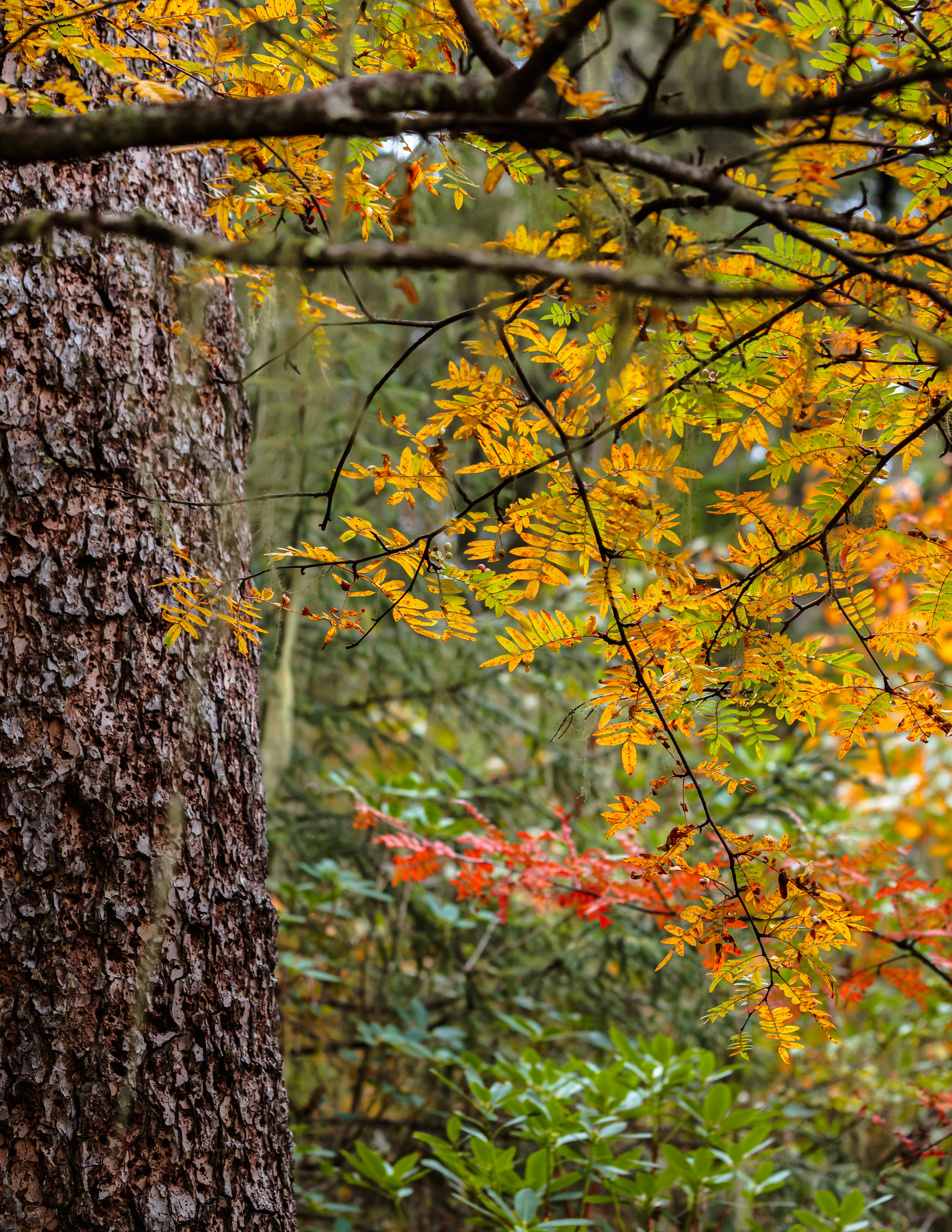 Photo by jl_darren25