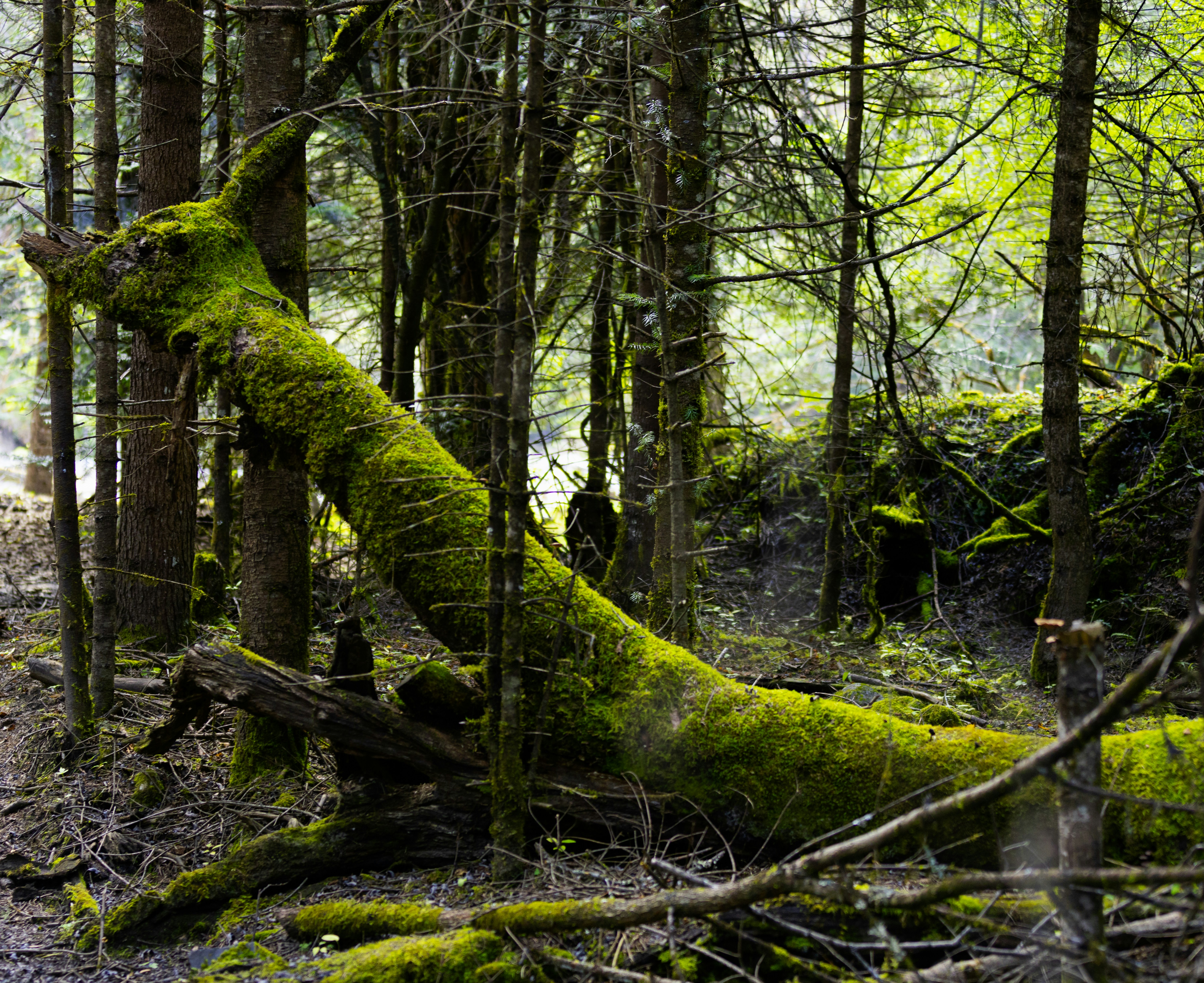 Photo by jl_darren25