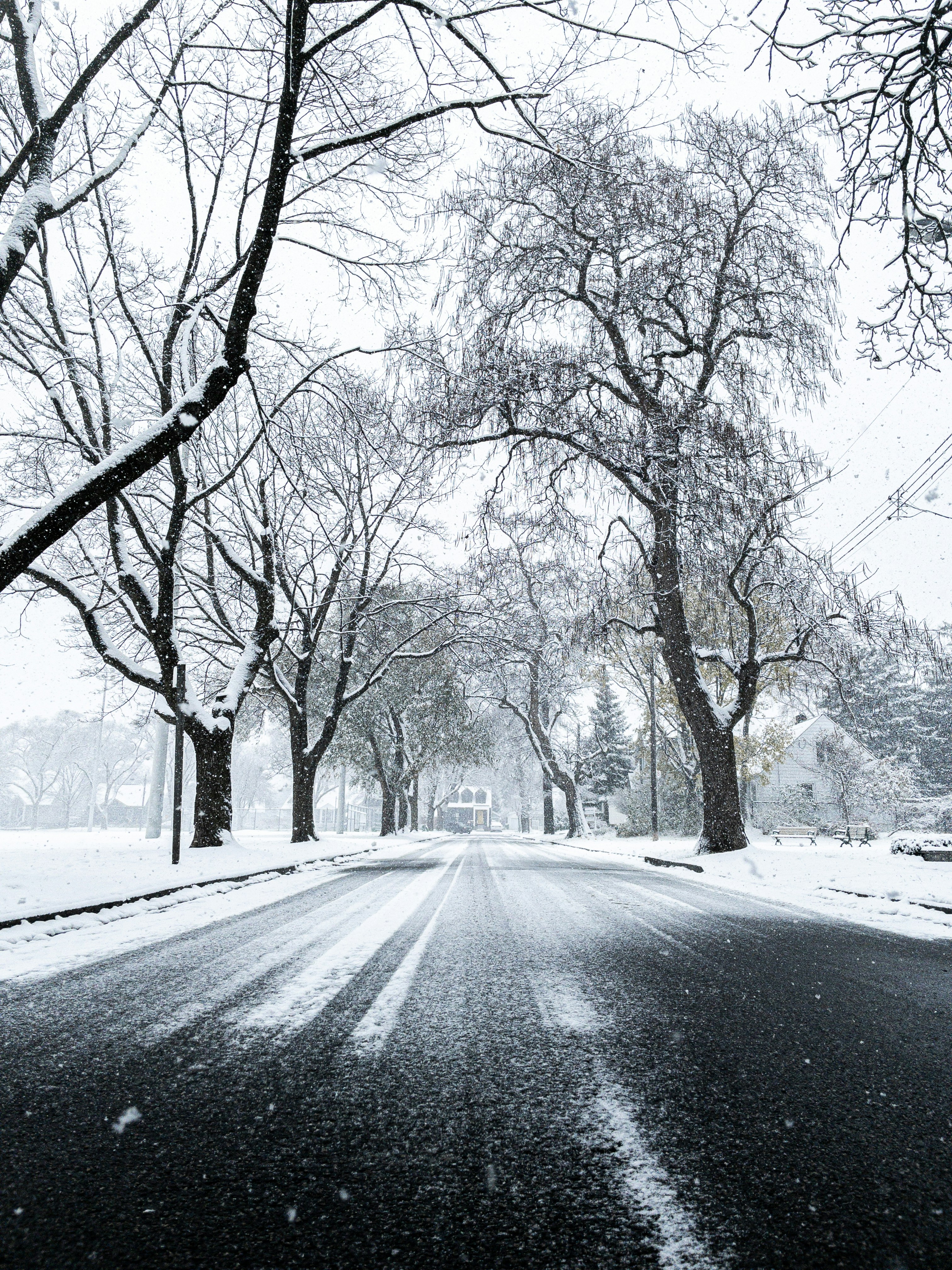 Photo by santiago_franco