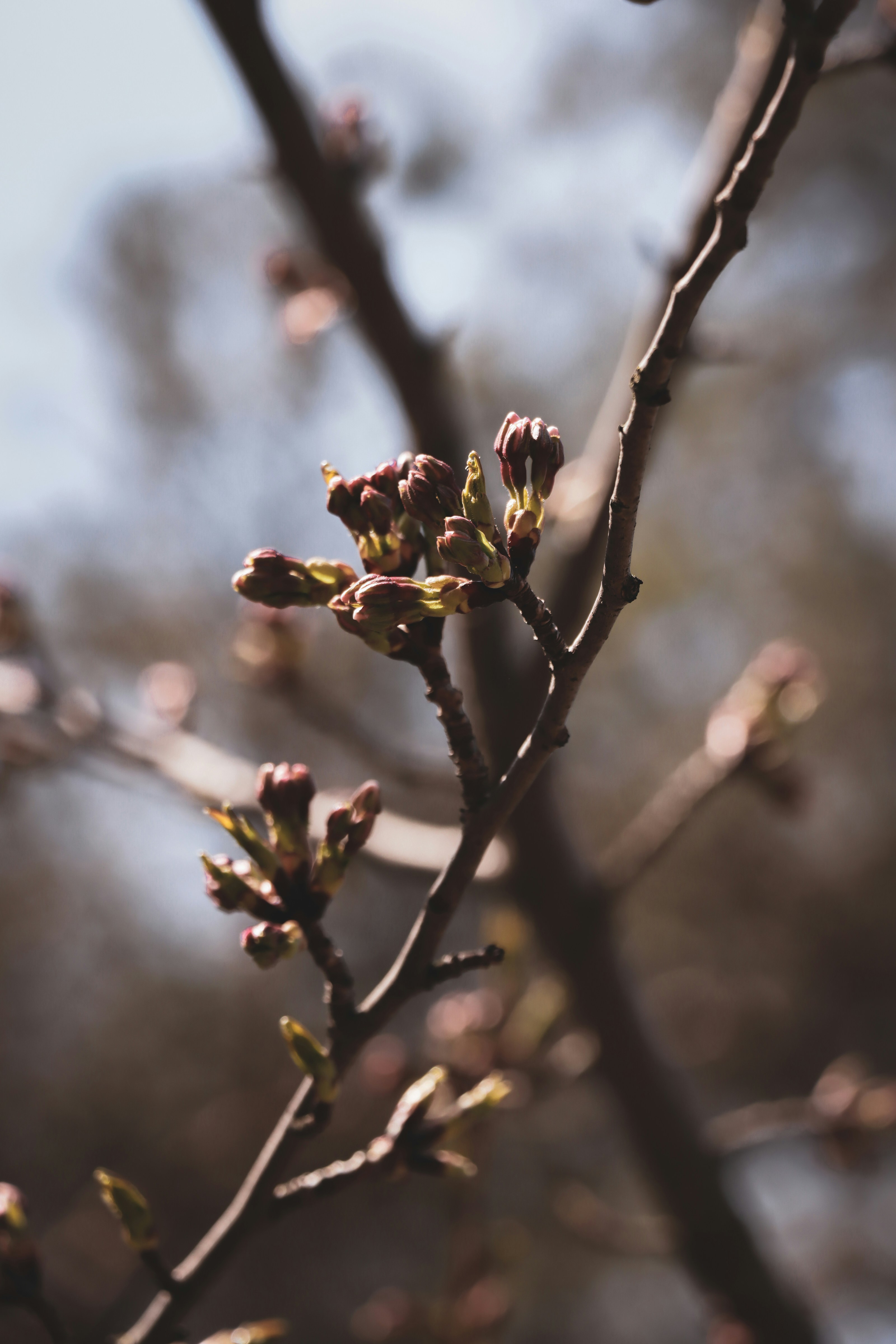 Photo by santiago_franco