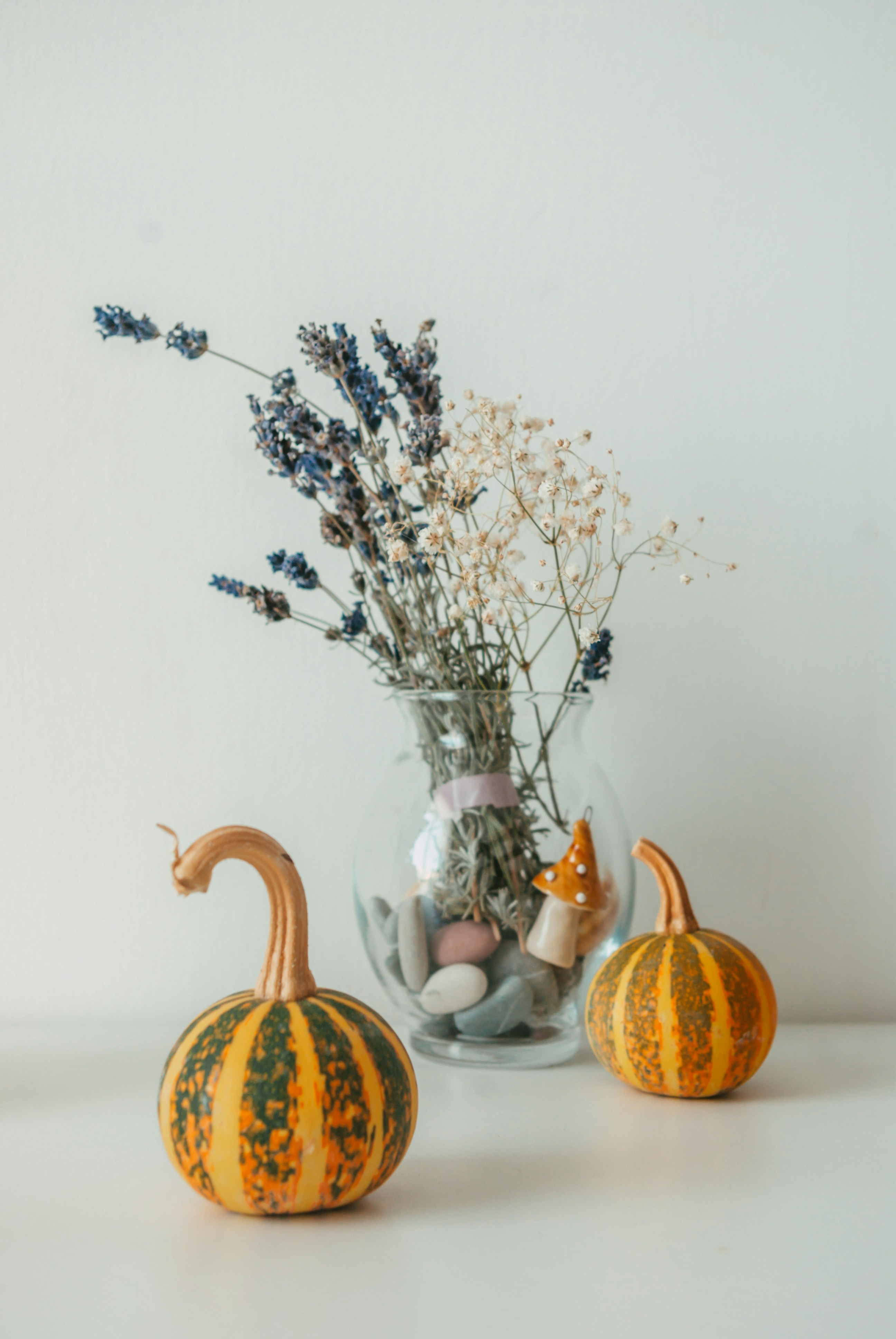 Photo by moonmoons_days