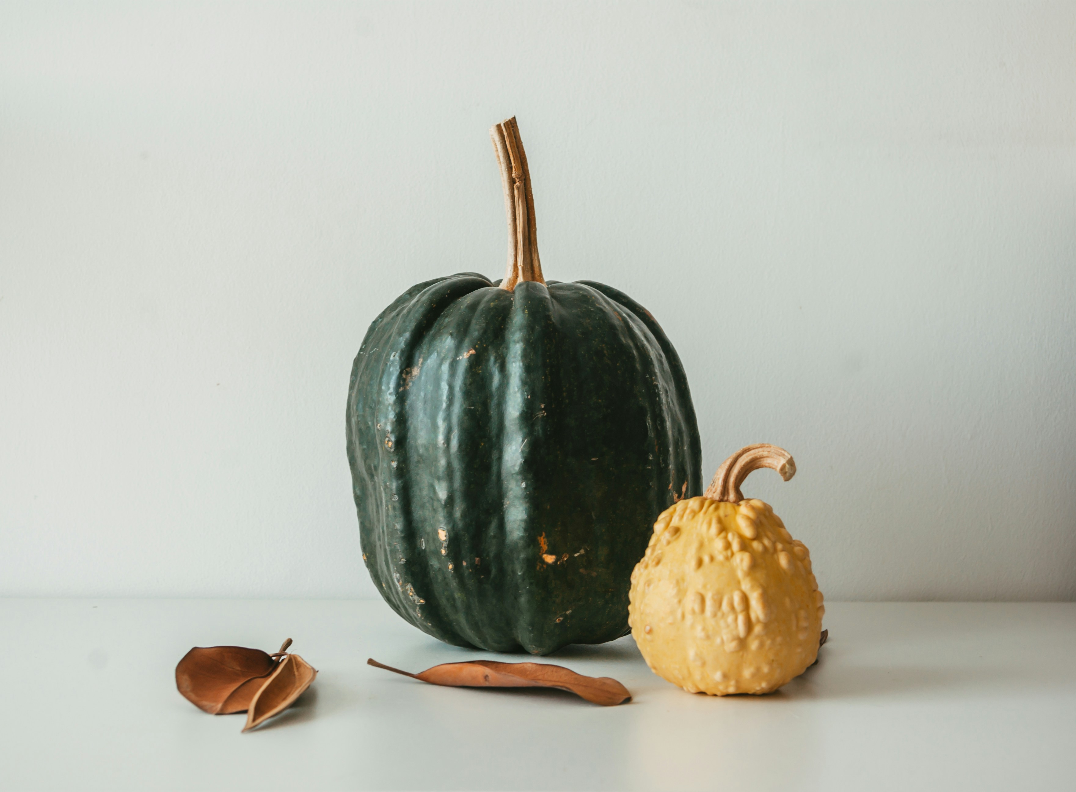 Photo by moonmoons_days