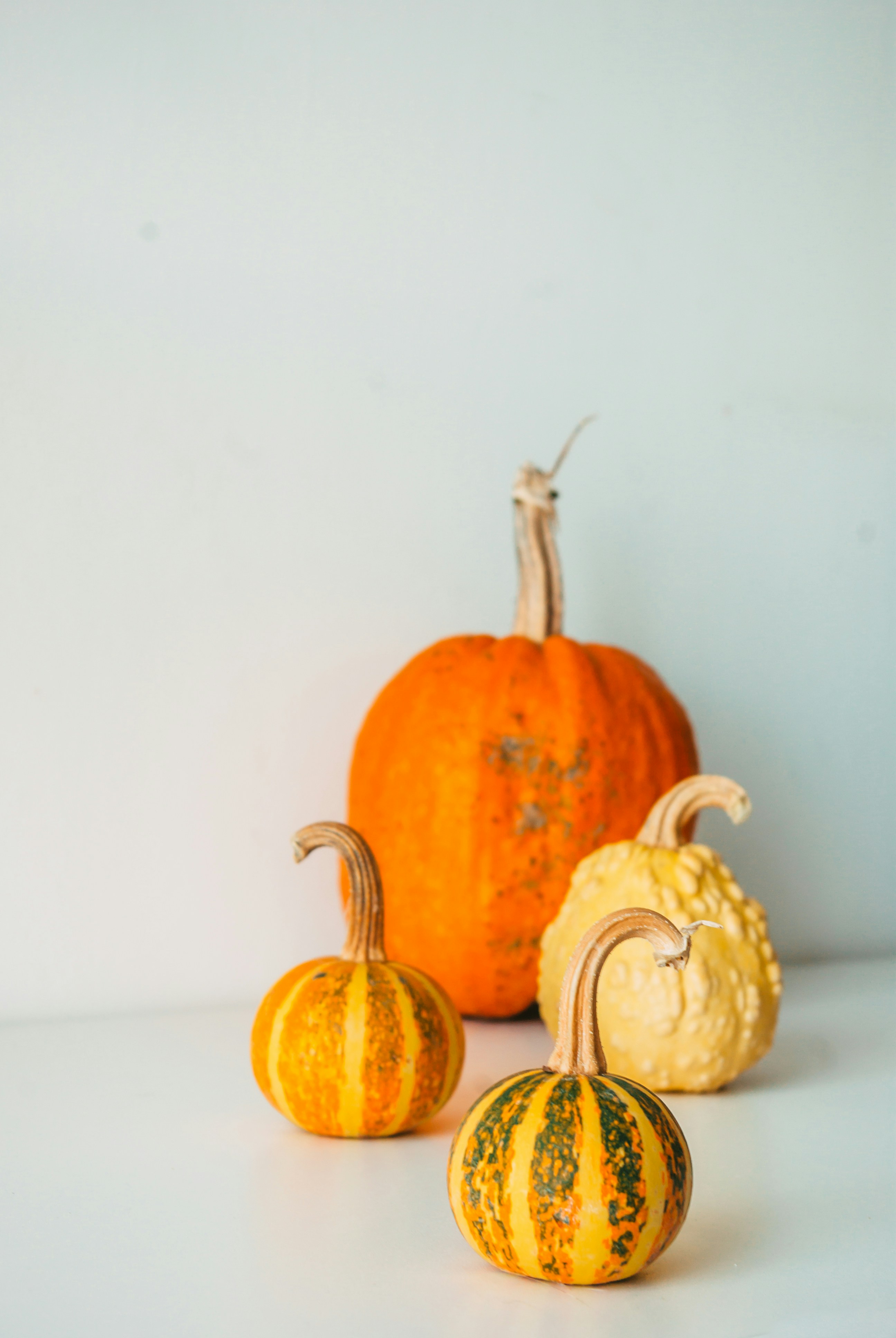 Photo by moonmoons_days