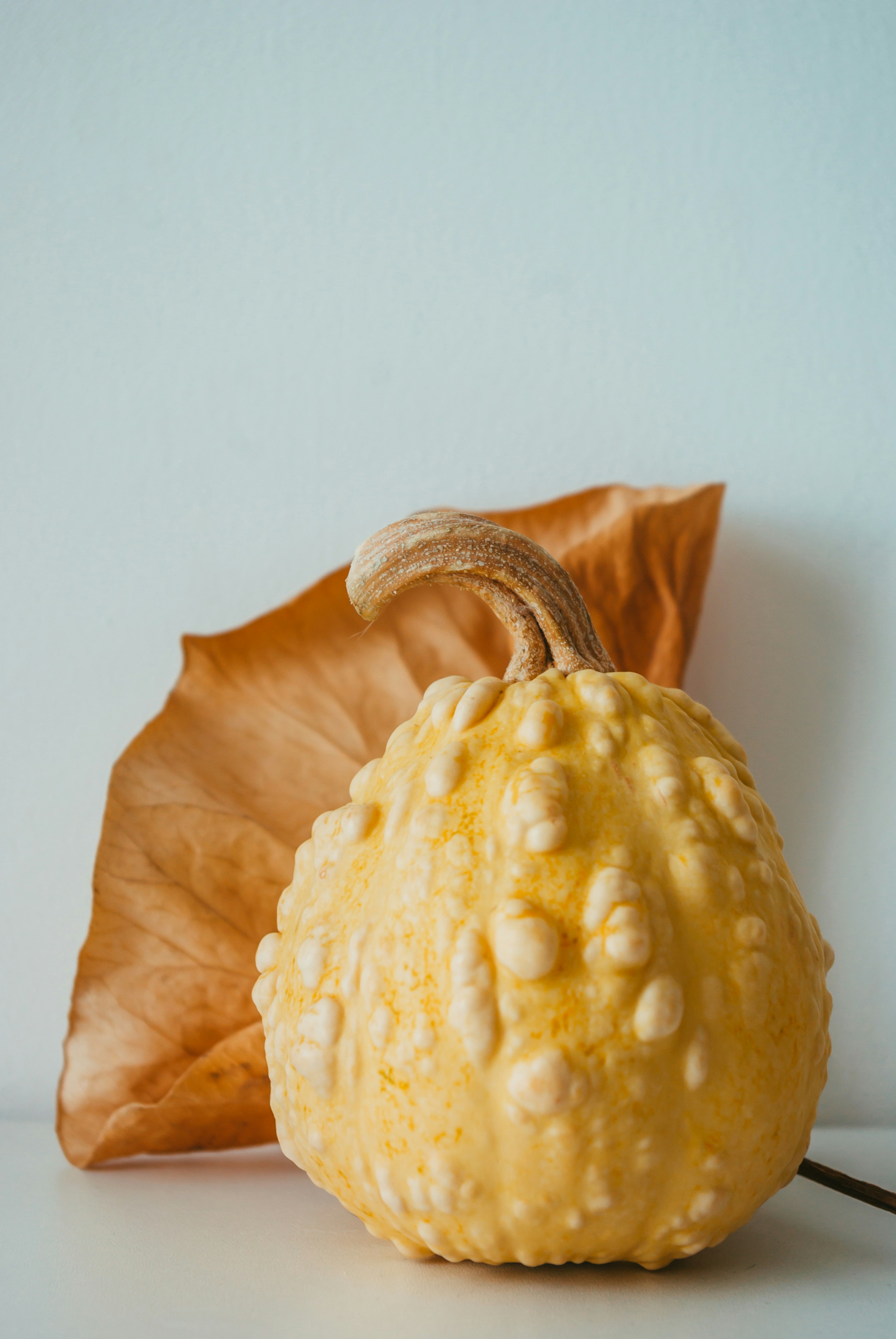 photo-1666530000400-bdbf1343029f?ixid=M3wxMjA3fDB8MXxzZWFyY2h8M3x8d2hpdGUlMjB0cnVmZmxlJTIwYnV0dGVyfGVufDB8fHx8MTc2Nzk2OTczNXww\u0026ixlib=rb-4.1.0