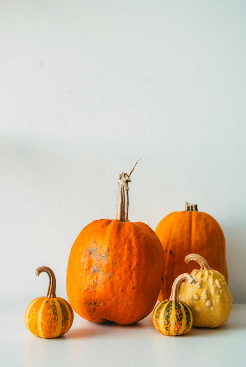 a group of pumpkins