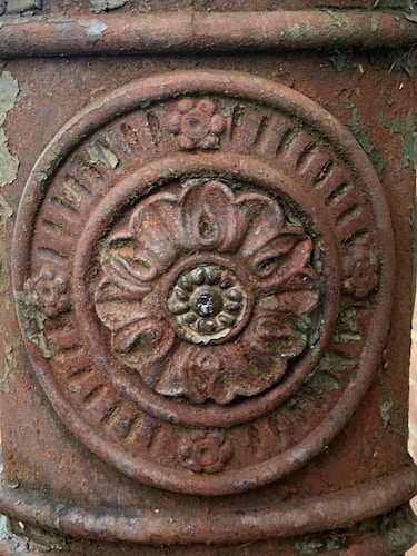 Photo 1666530139711 252a343ae54f?q=85&w=500&h=500&fit=crop