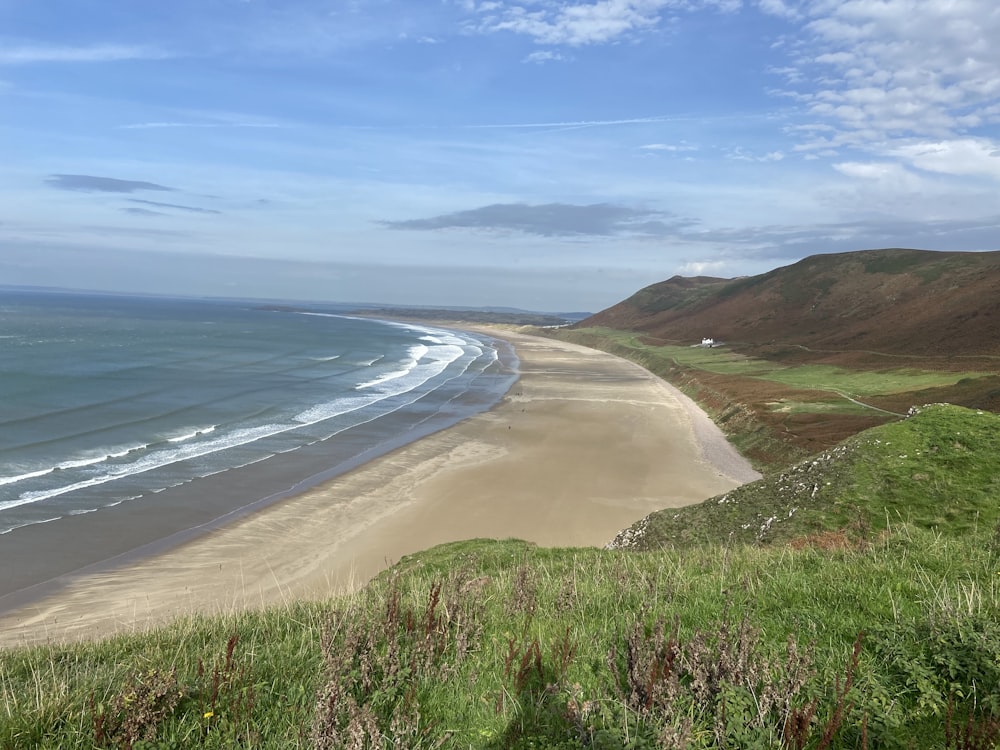 a beach with grass and sand