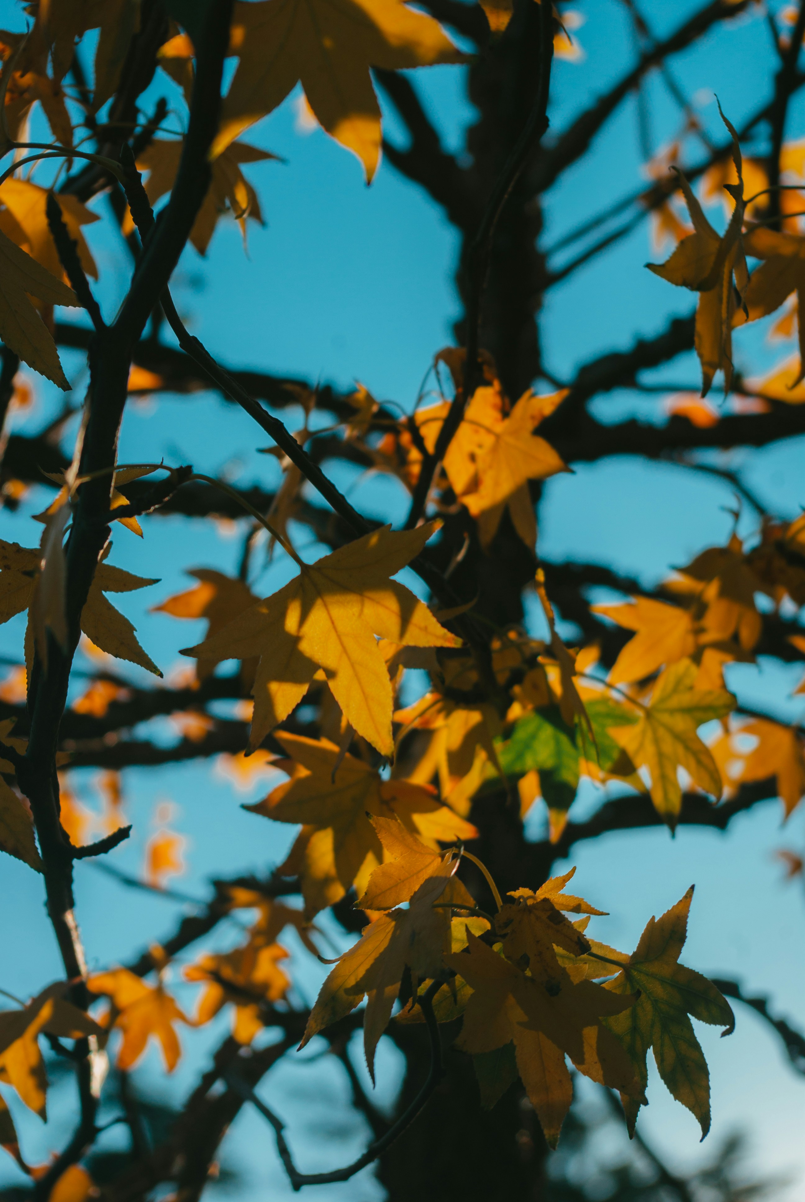 Photo by moonmoons_days