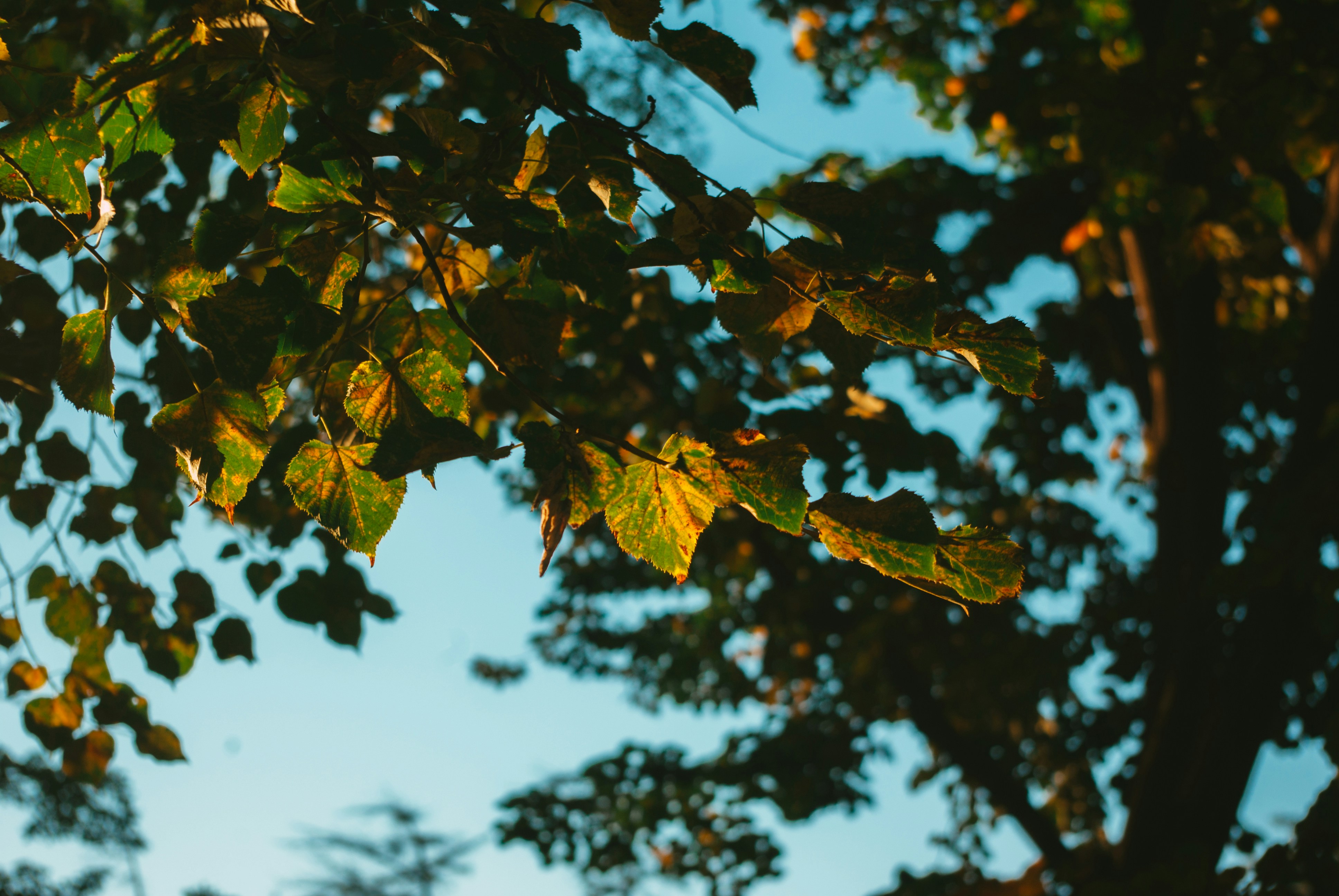 Photo by moonmoons_days