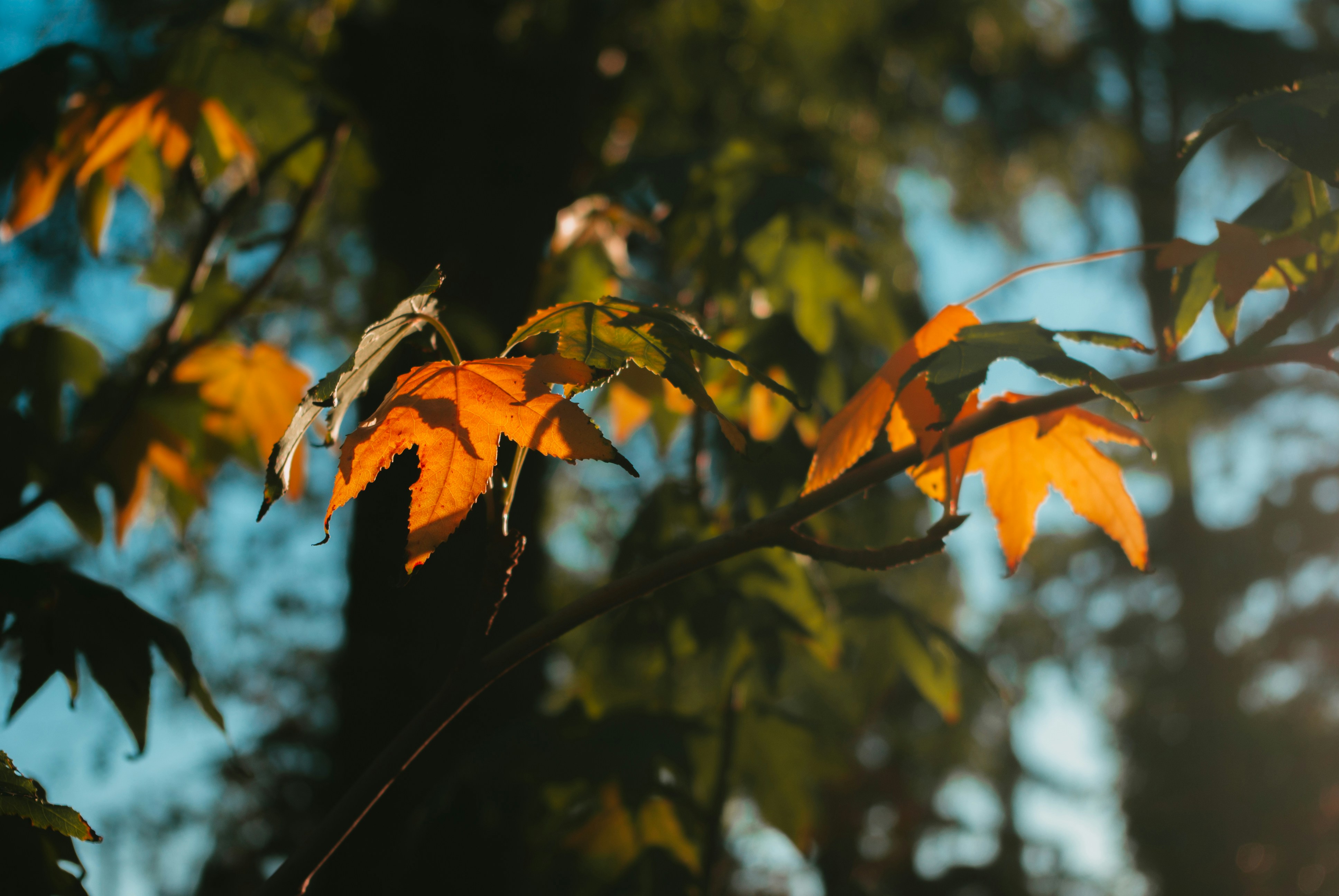 Photo by moonmoons_days