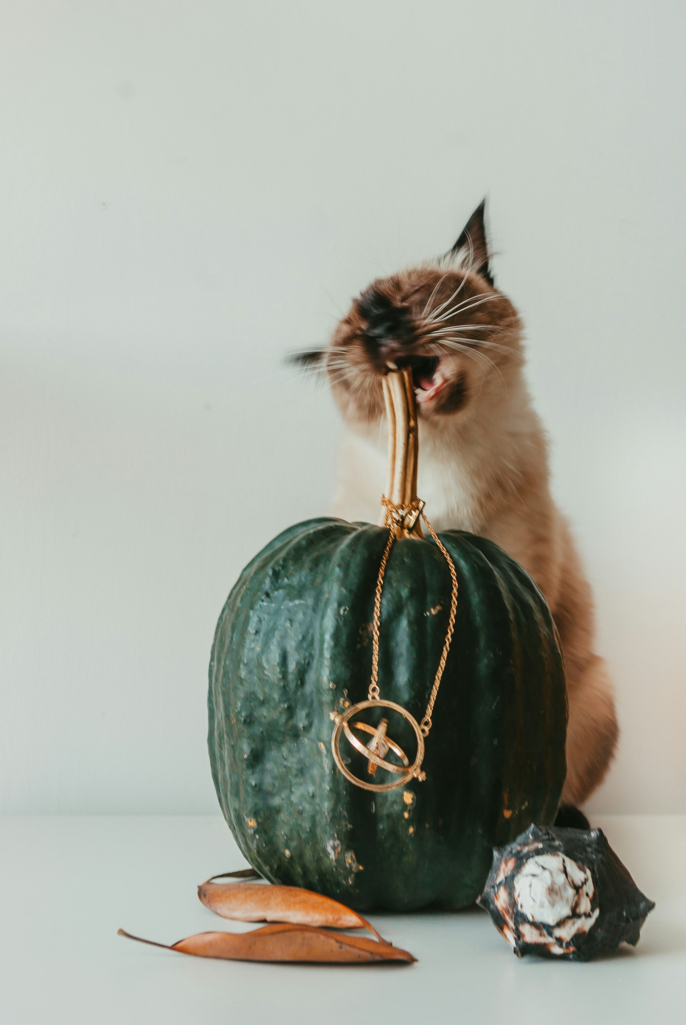 Photo by moonmoons_days