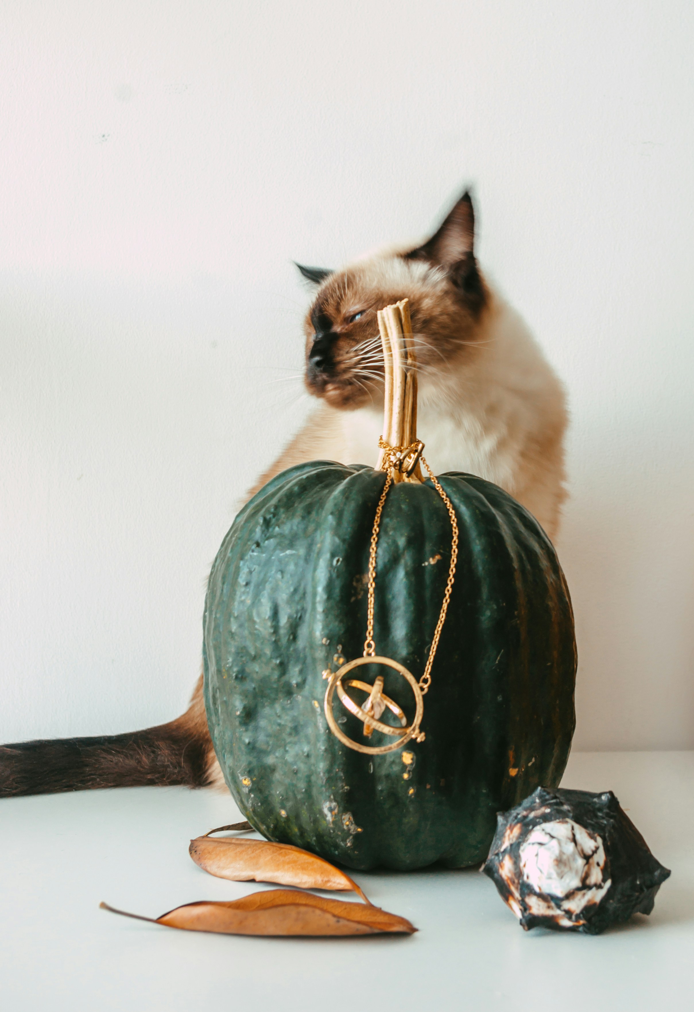 Photo by moonmoons_days