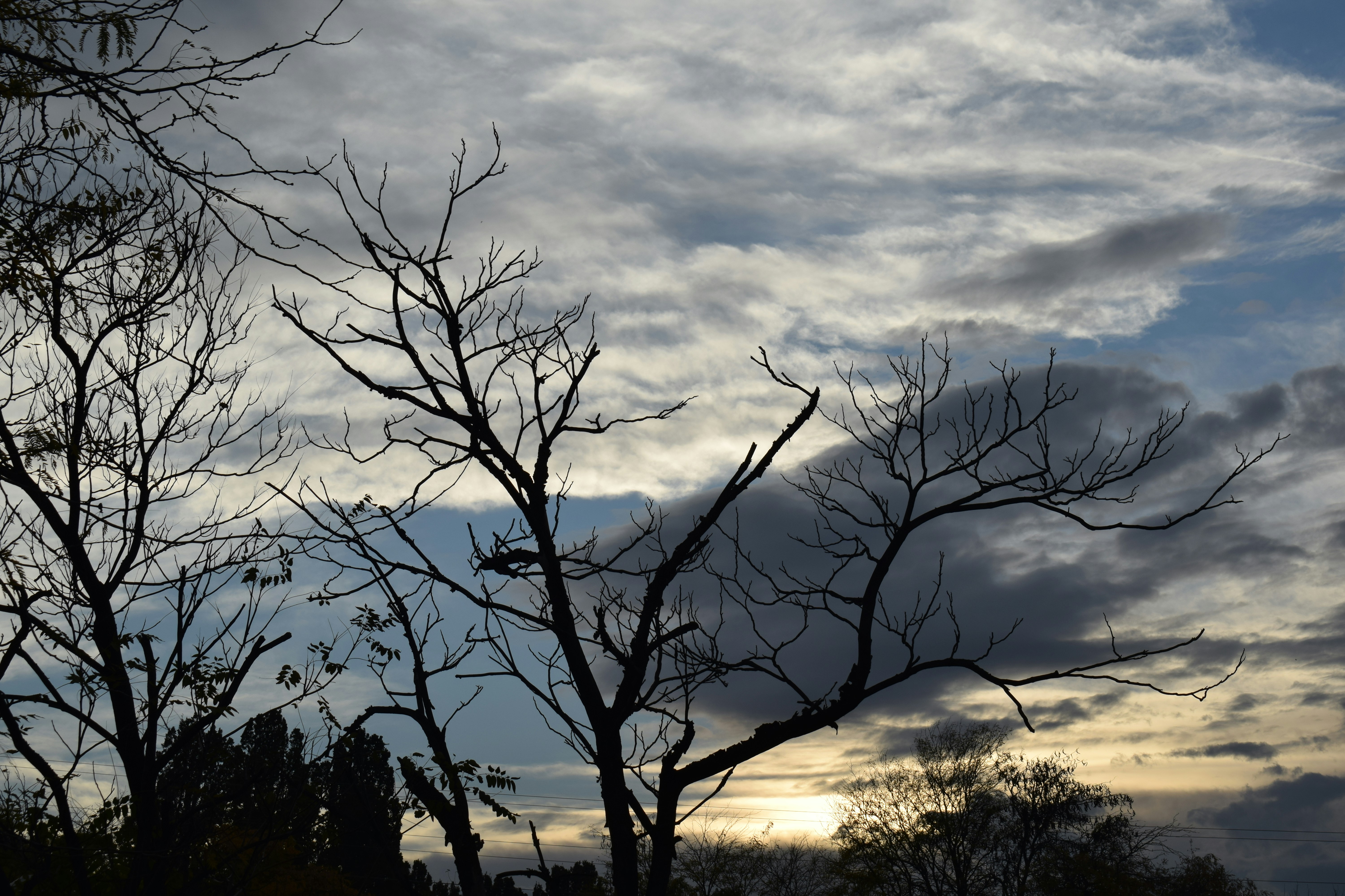 Photo by simplicity