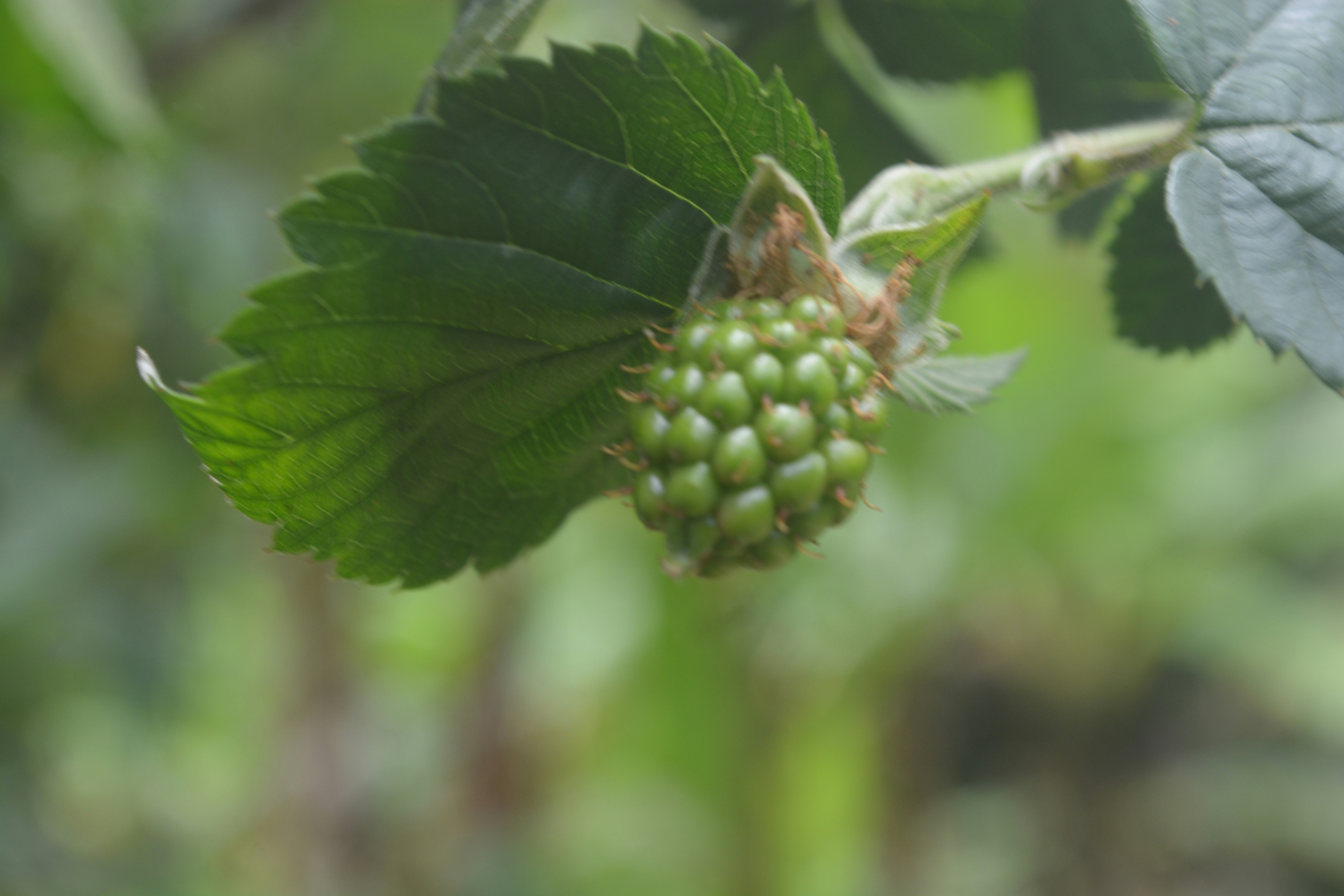 Photo by hpcrownvisuals