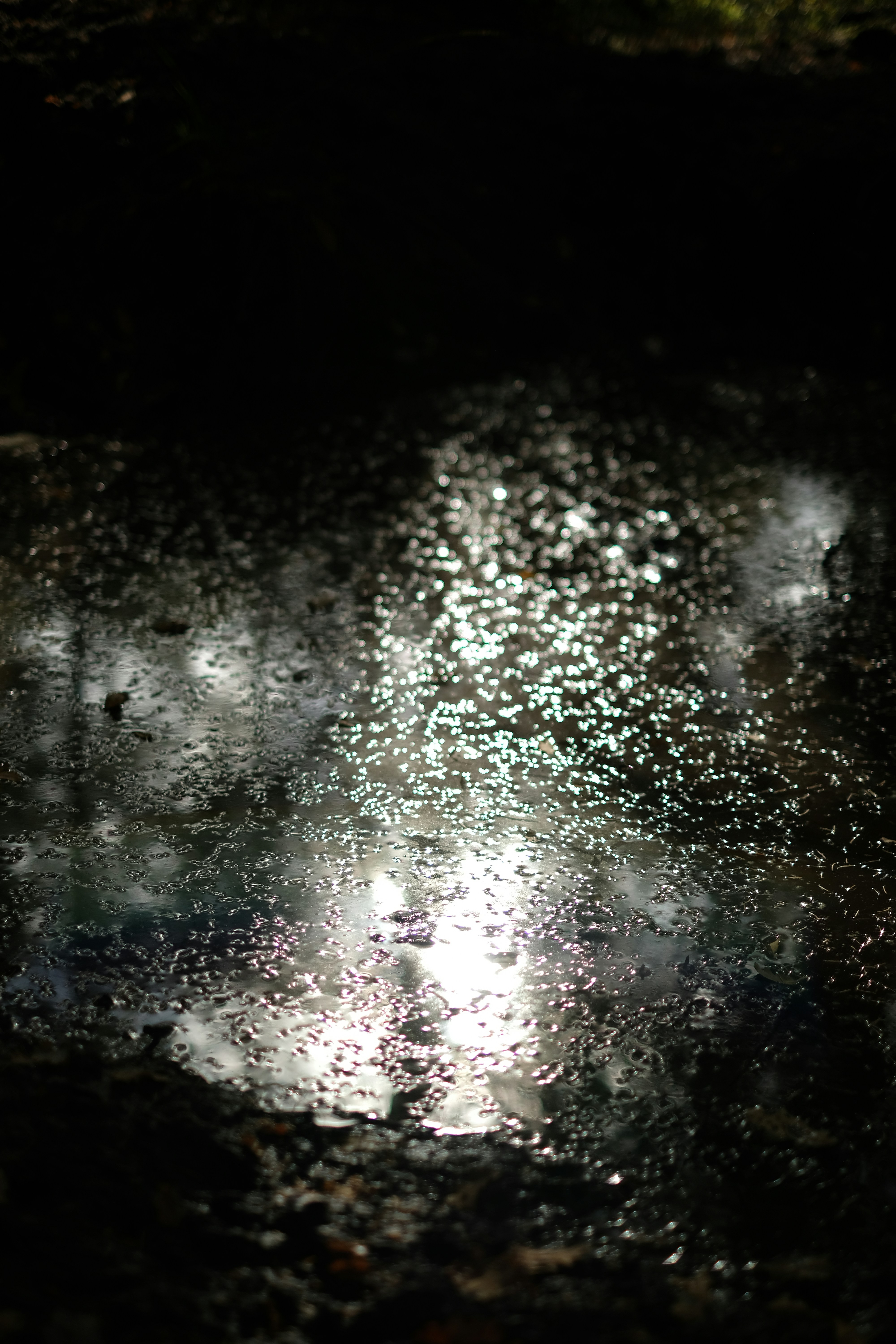 a bright light in the dark