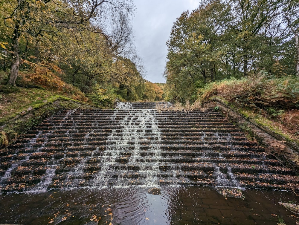 a small waterfall in a forest