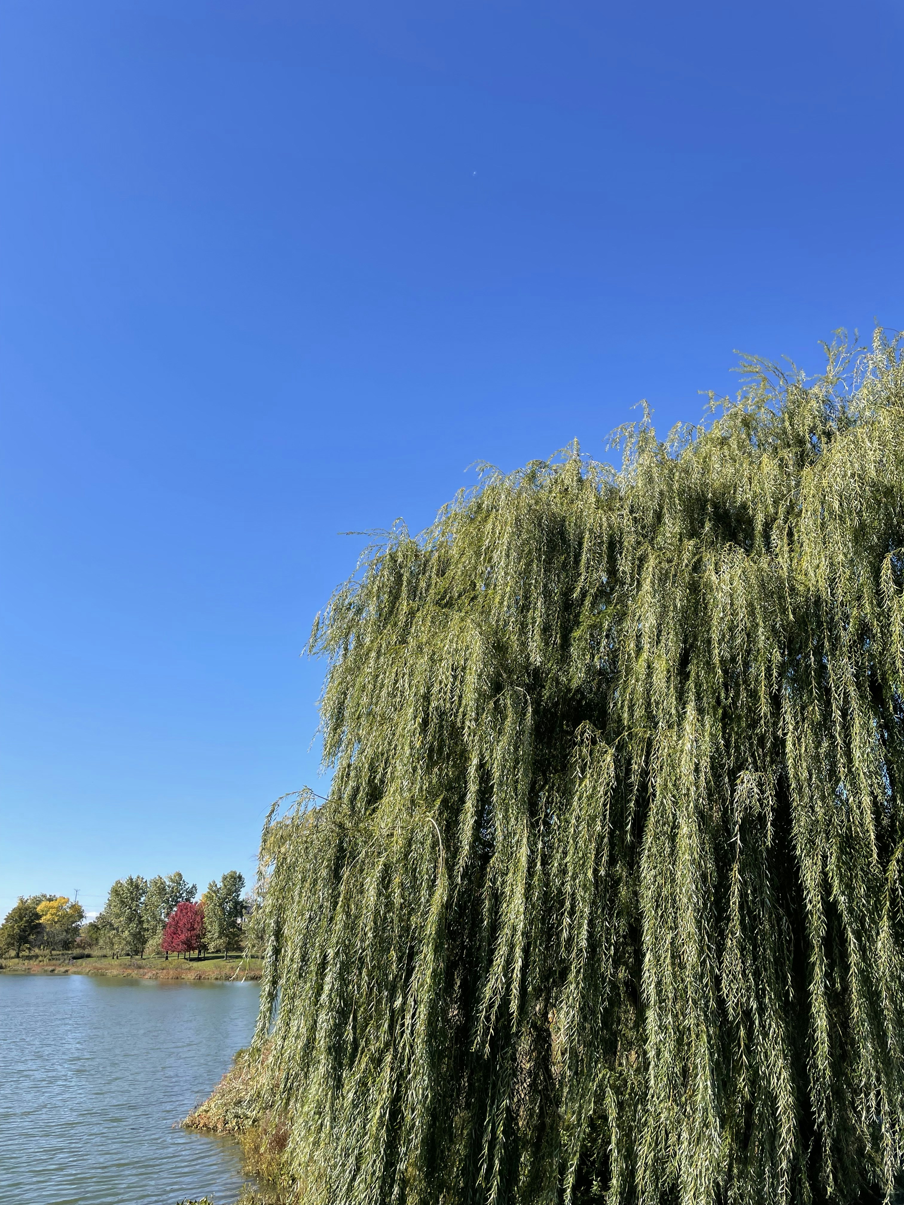 a cliff with a red house