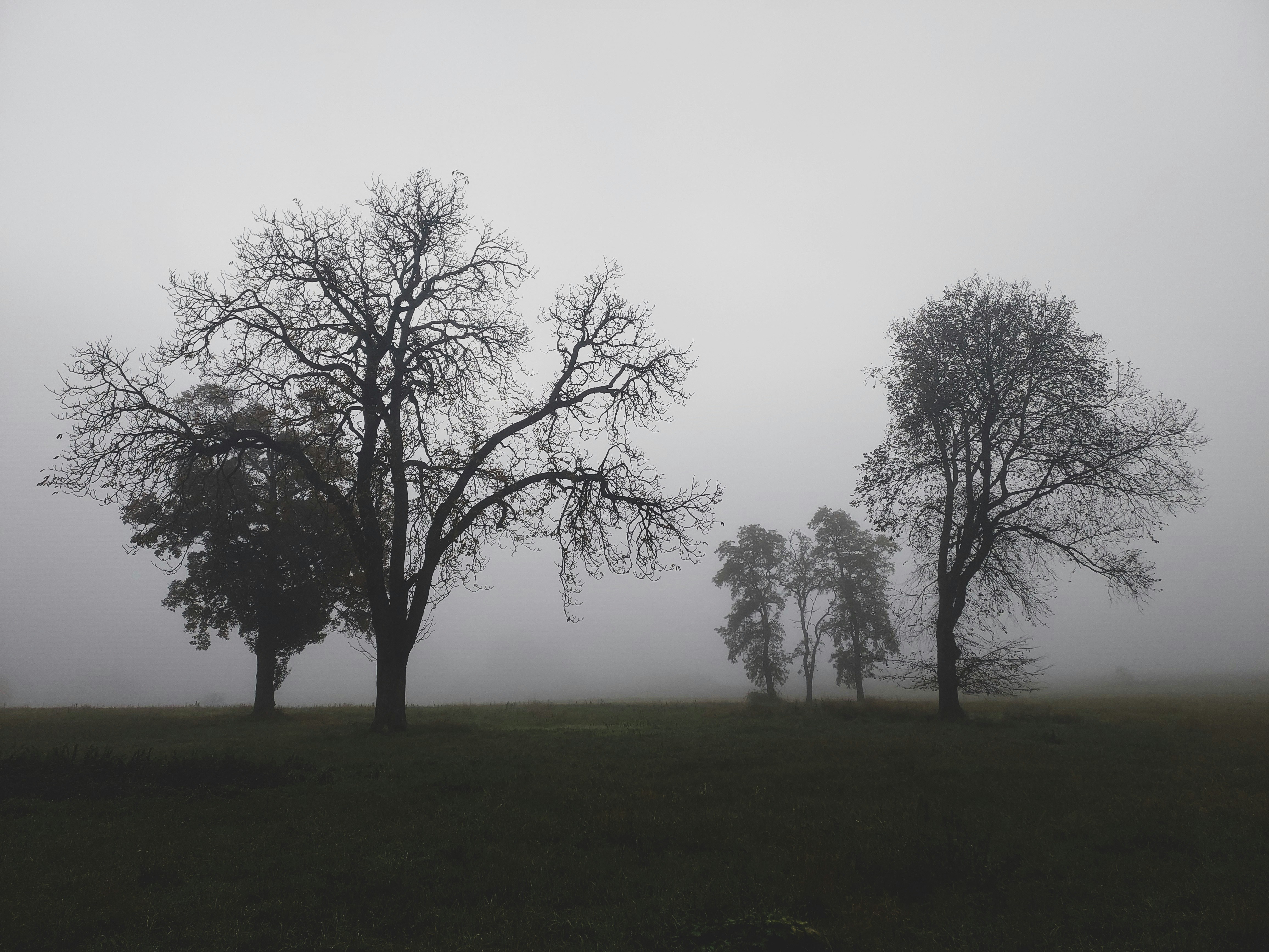 Photo by hannapisareve