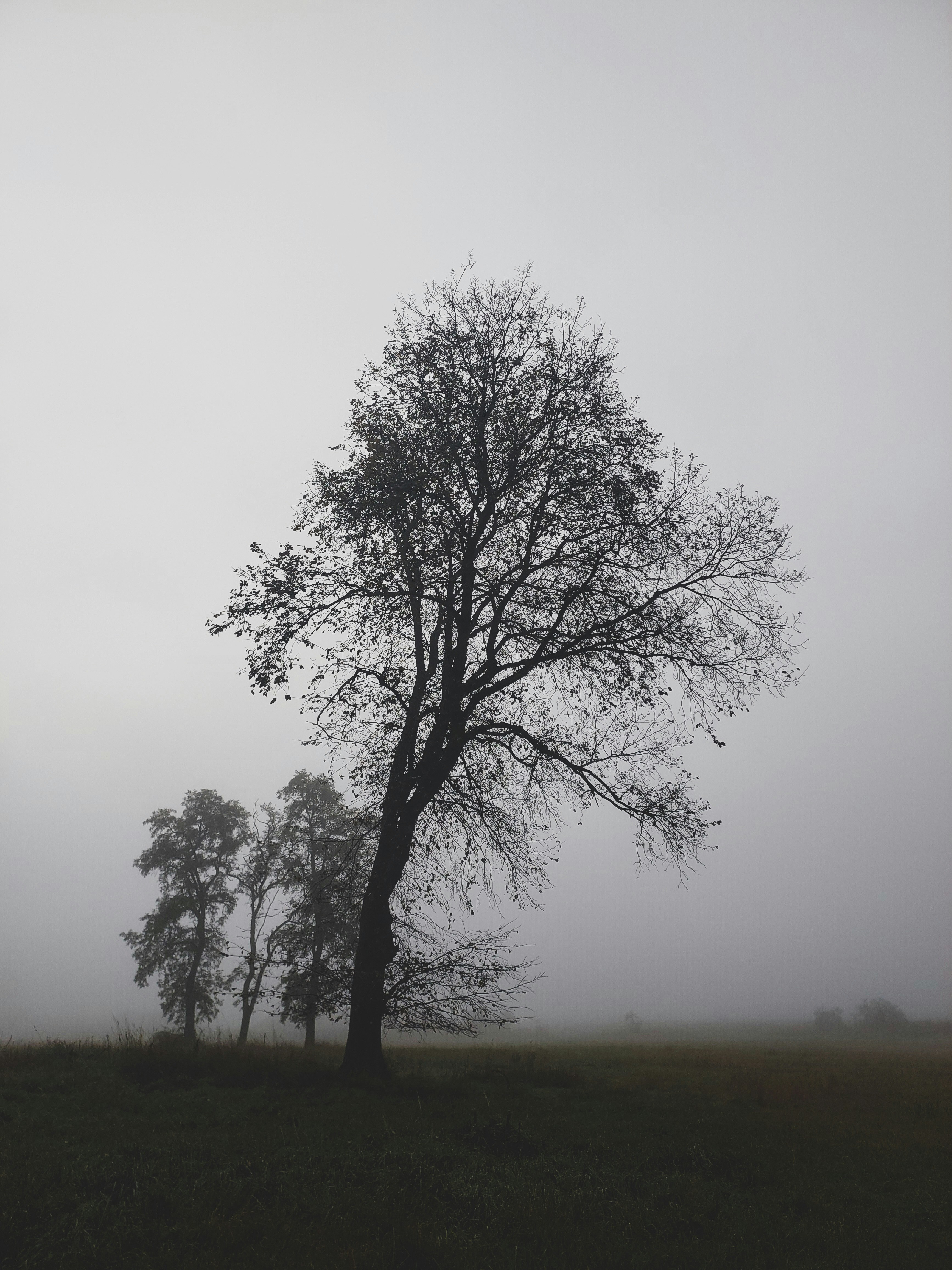 Photo by hannapisareve