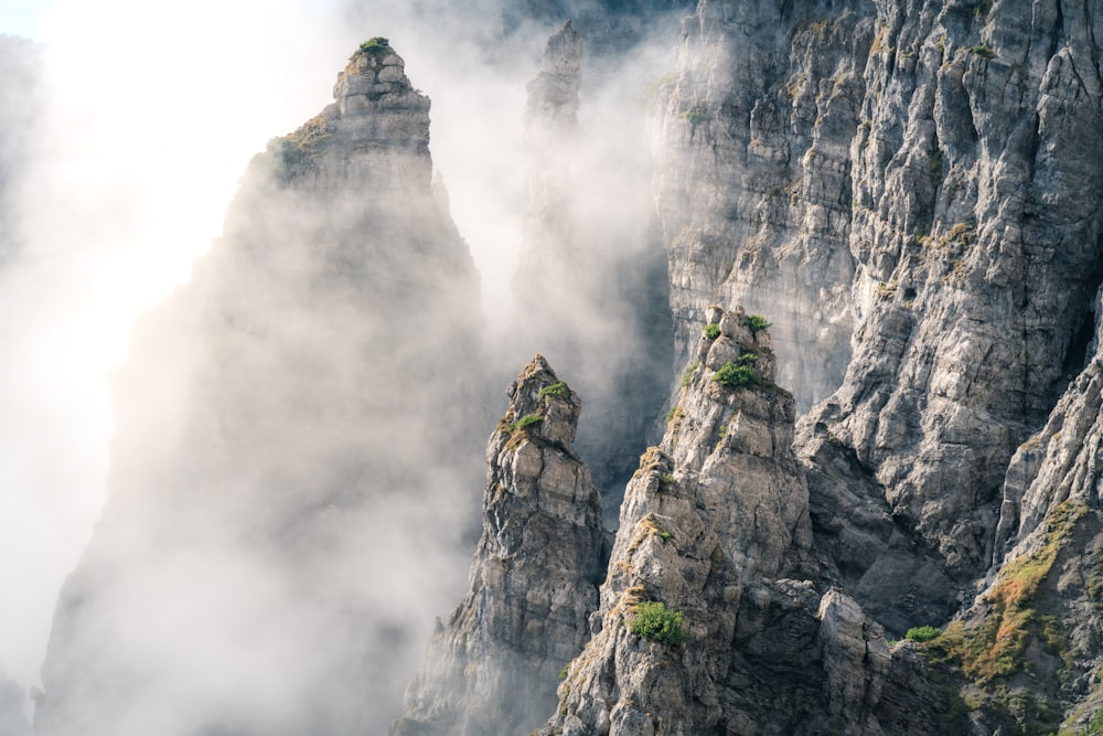 a group of people on a mountain