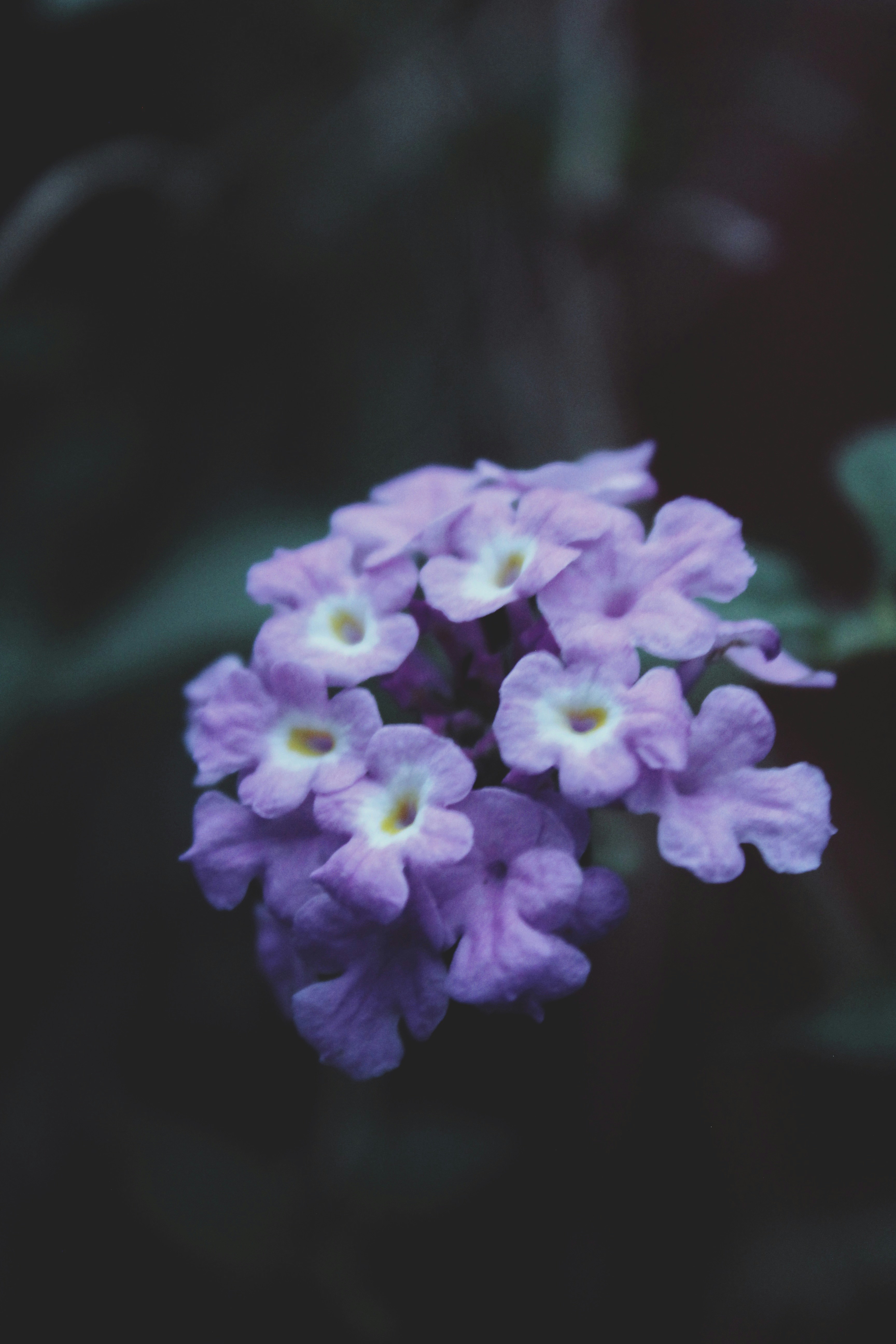 Photo by adhishot__23