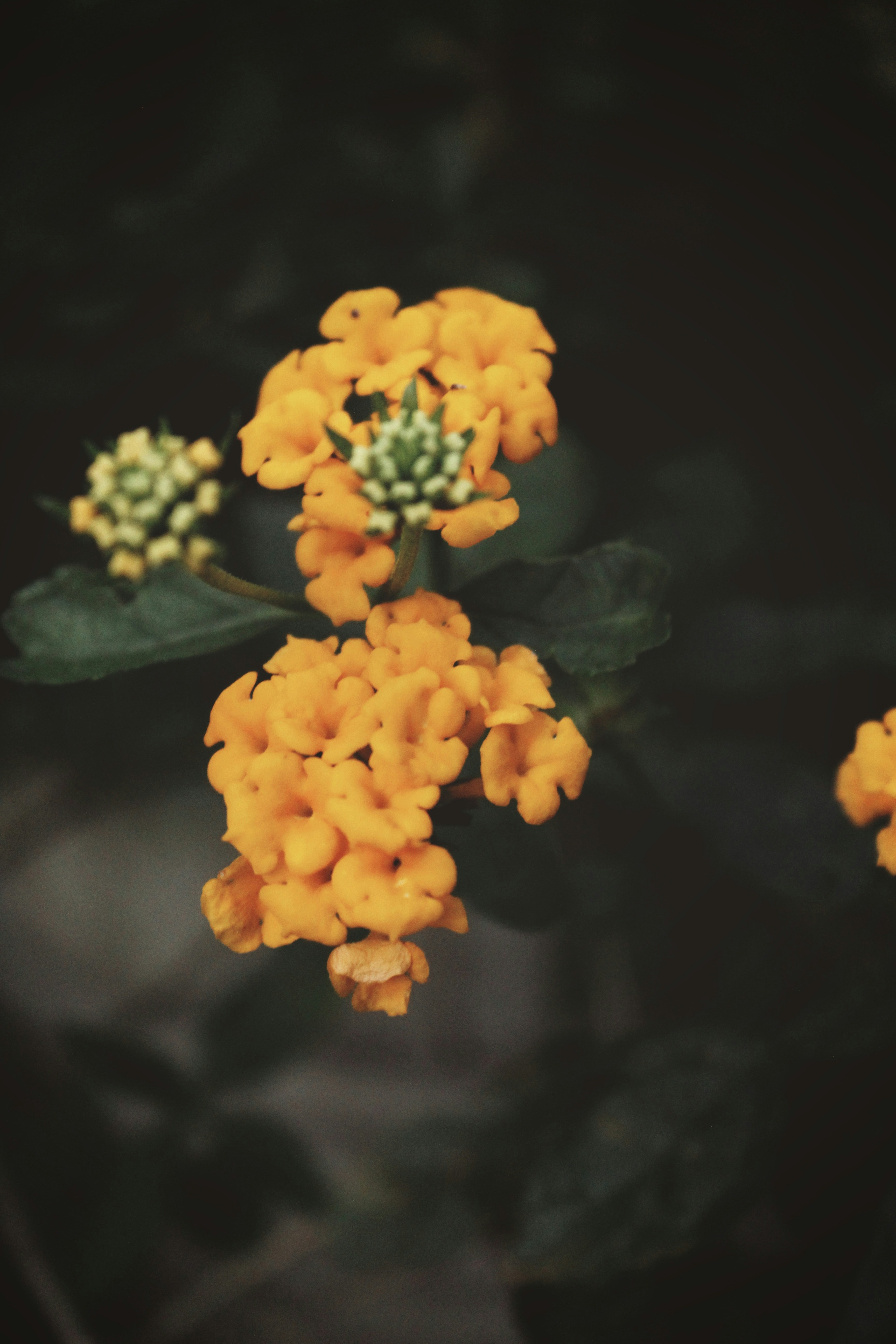 Photo by adhishot__23