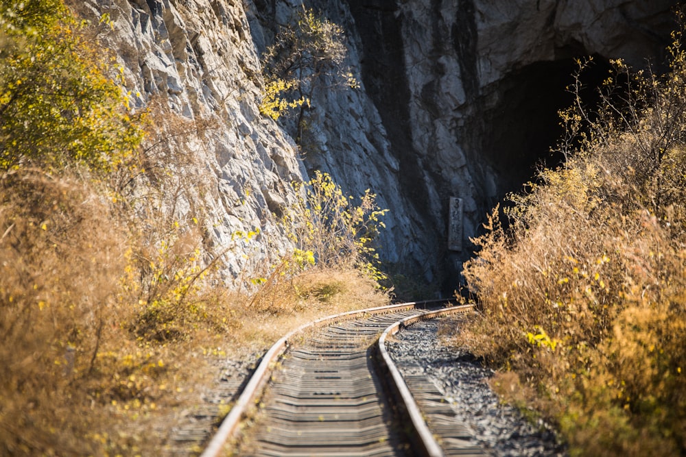 train tracks going through a tunnel