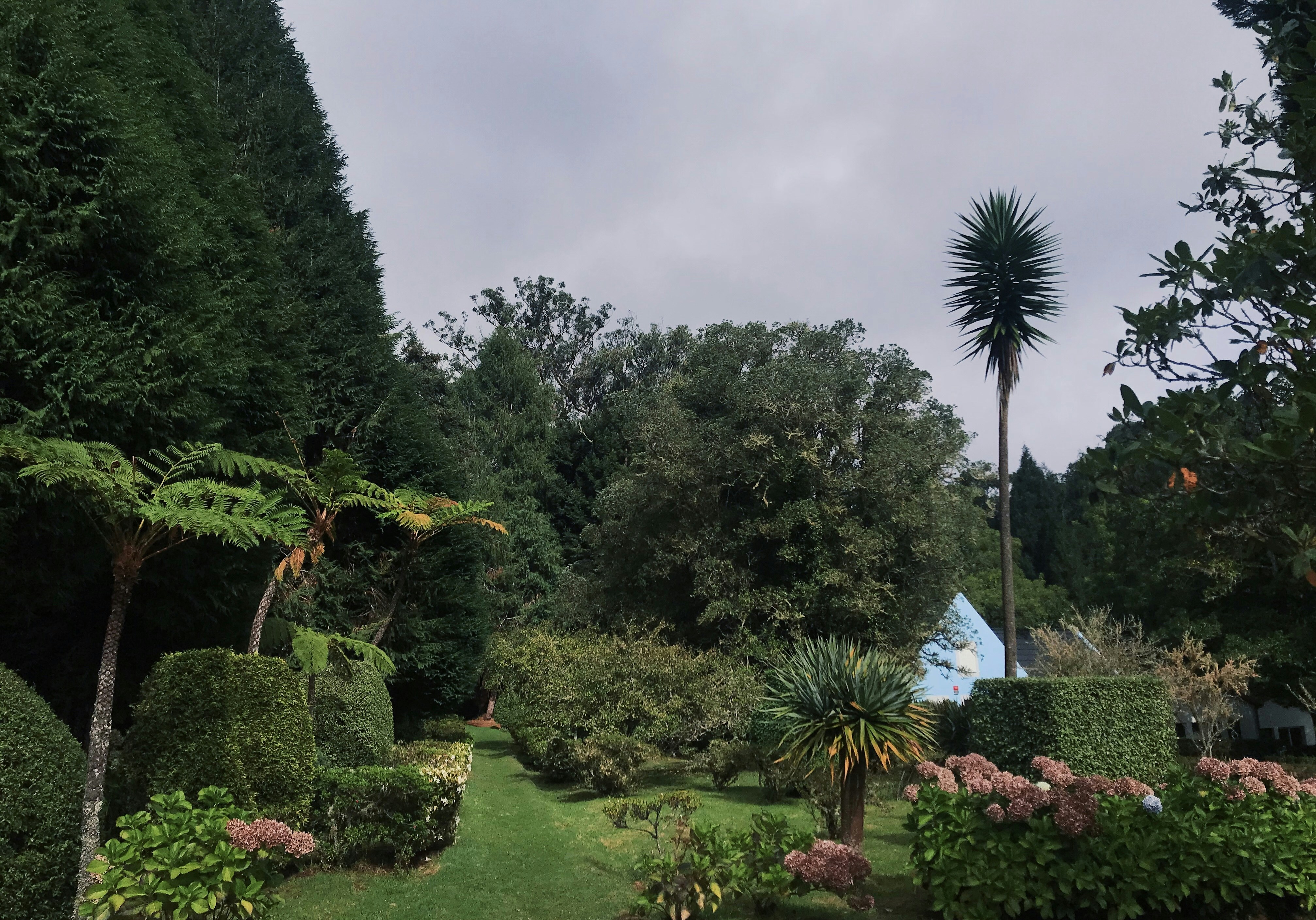 Photo by dianafrancisca020