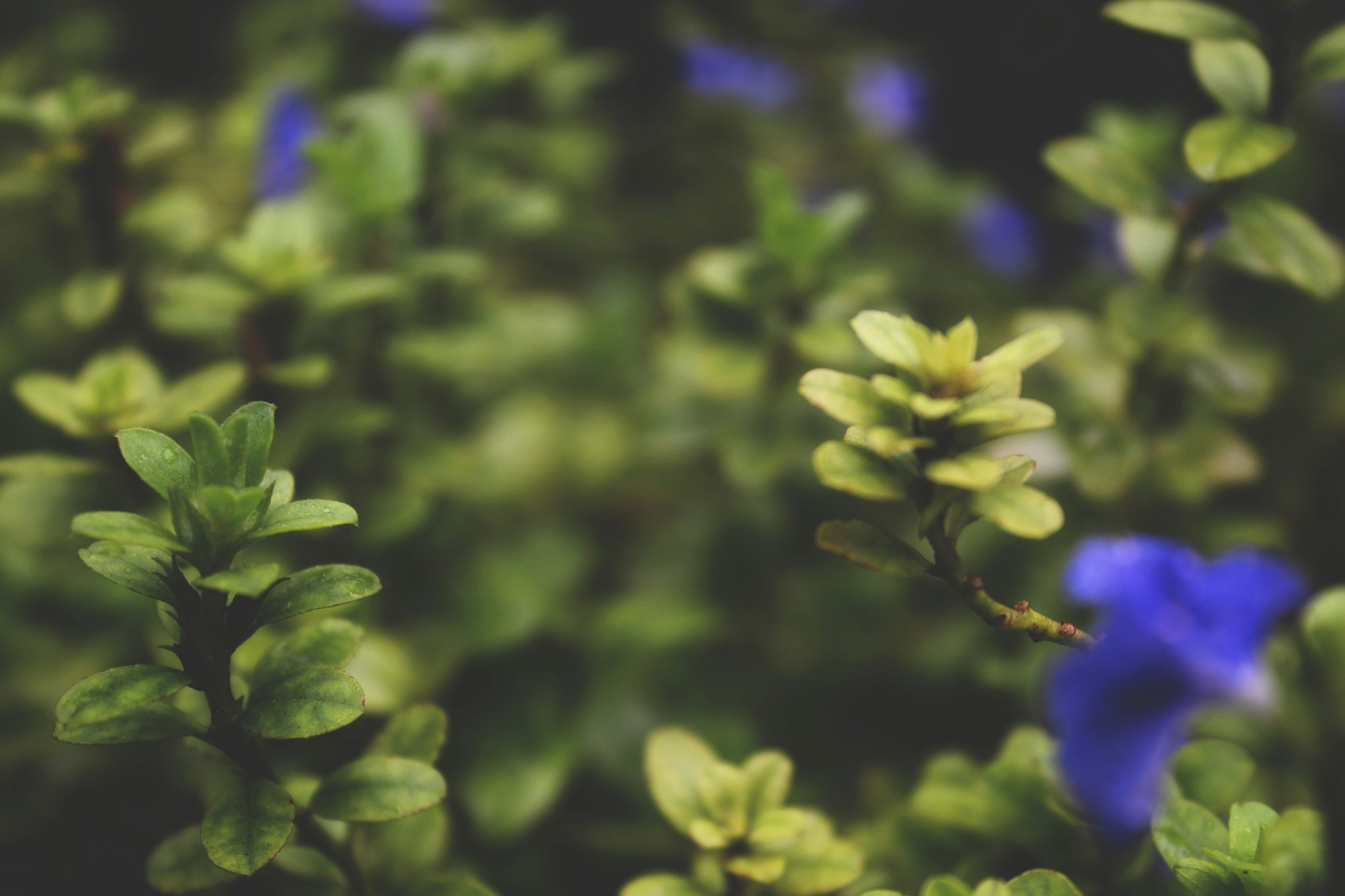 Photo by adhishot__23