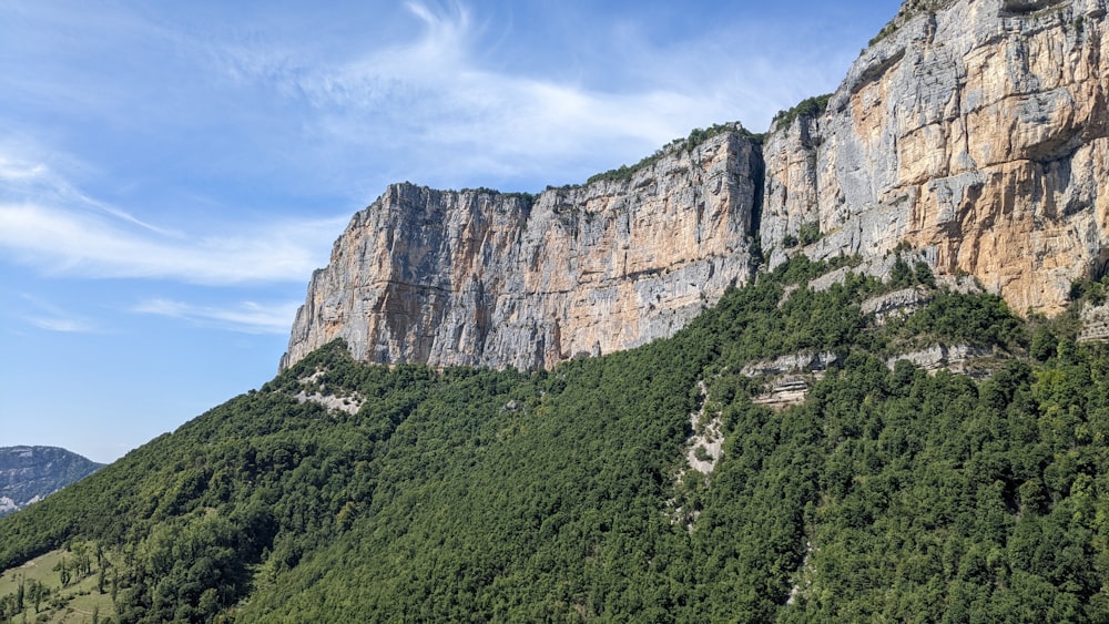 a rocky cliff with trees on it