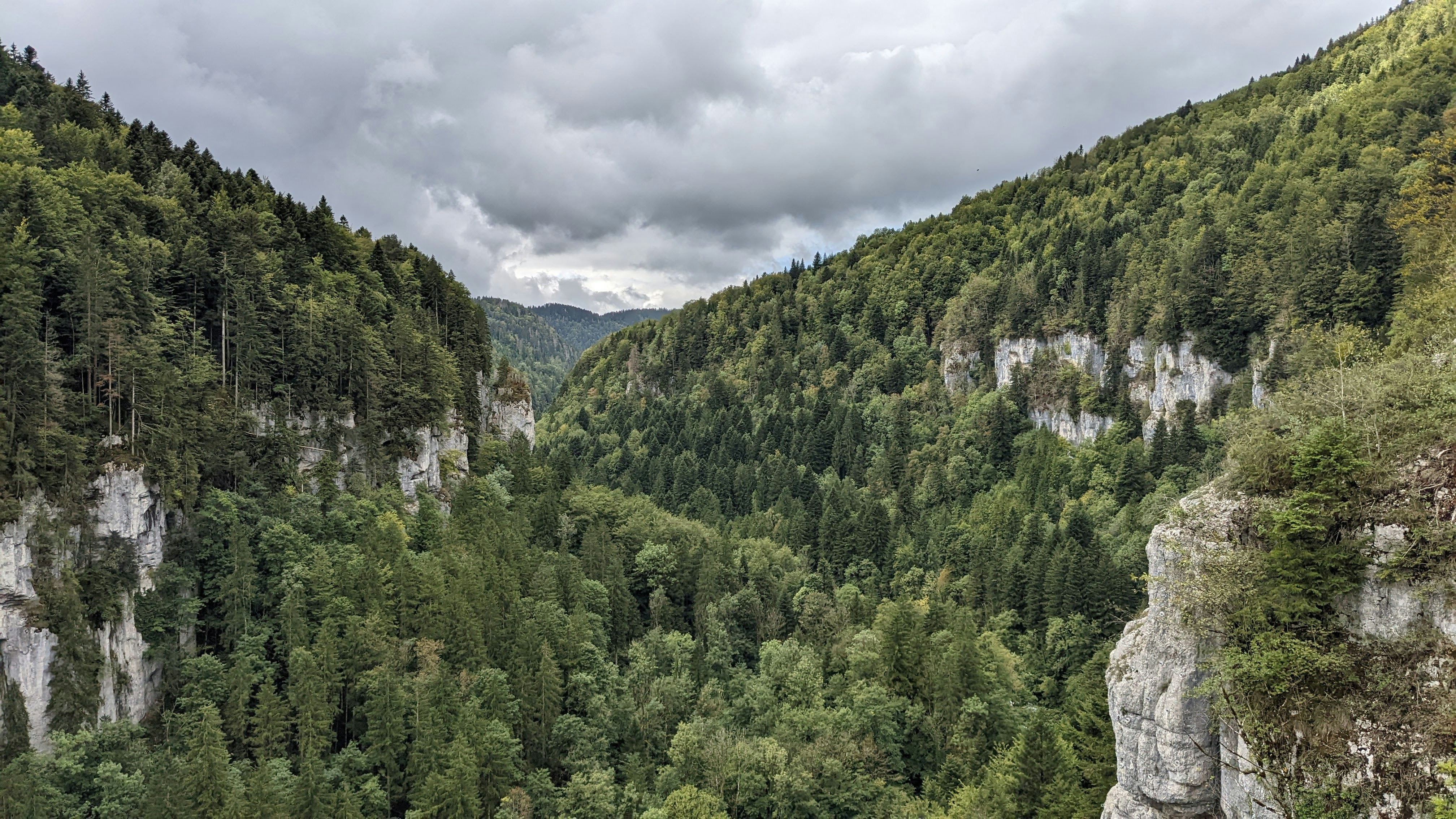 a landscape with trees and mountains