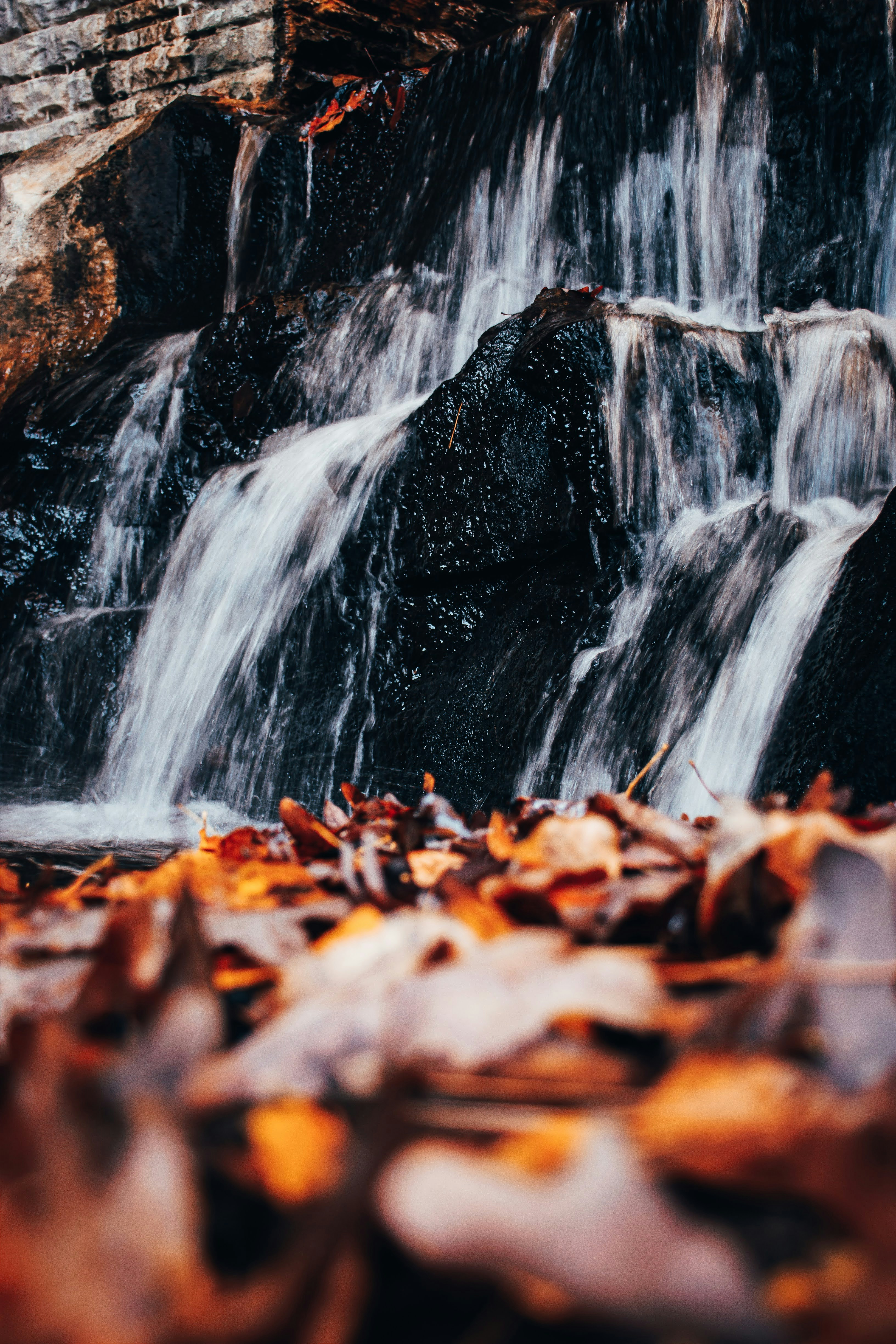 Photo by brice_cooper18